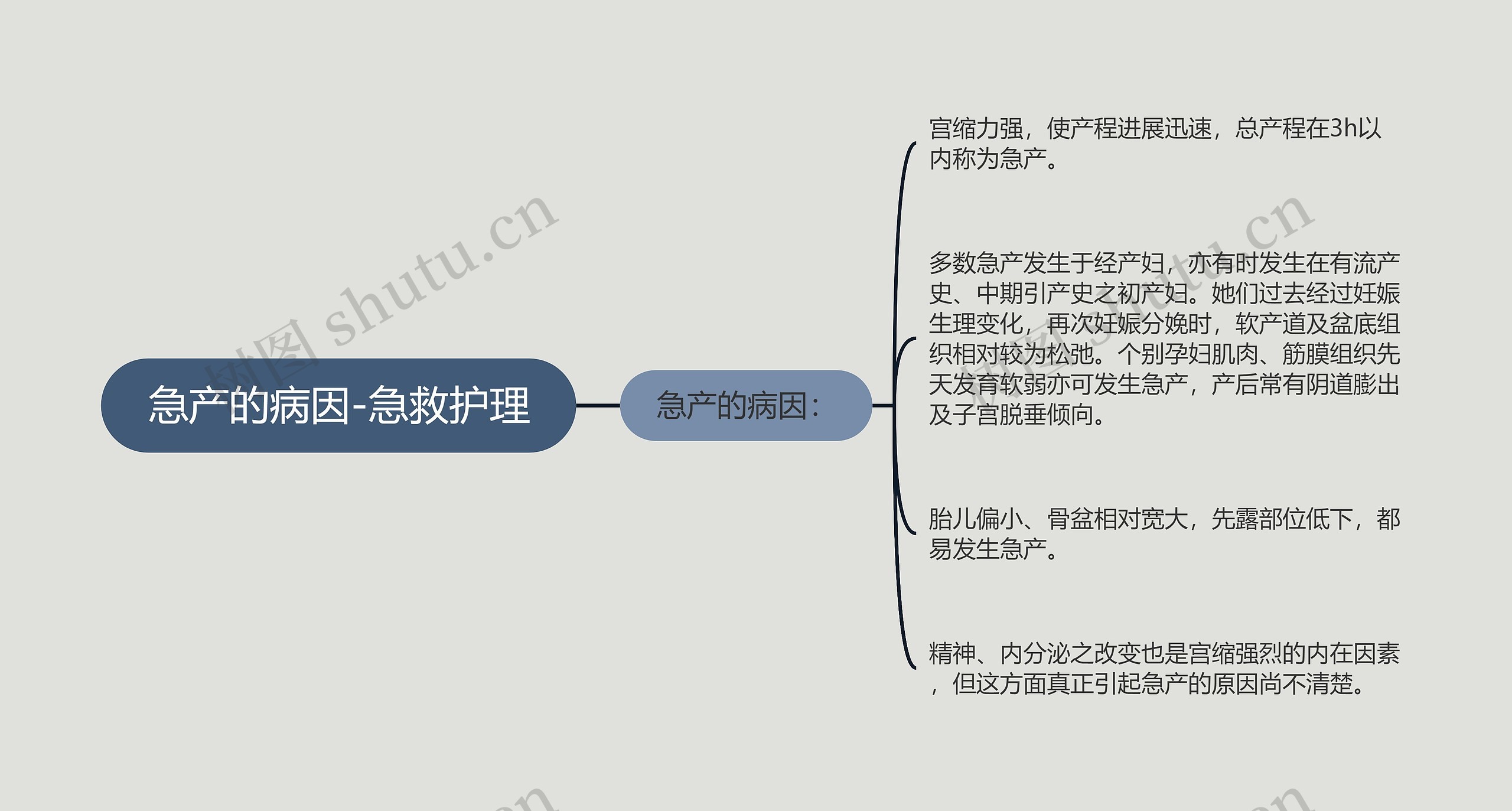 急产的病因-急救护理思维导图