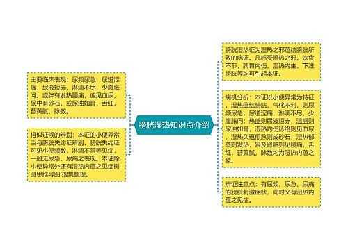 膀胱湿热知识点介绍