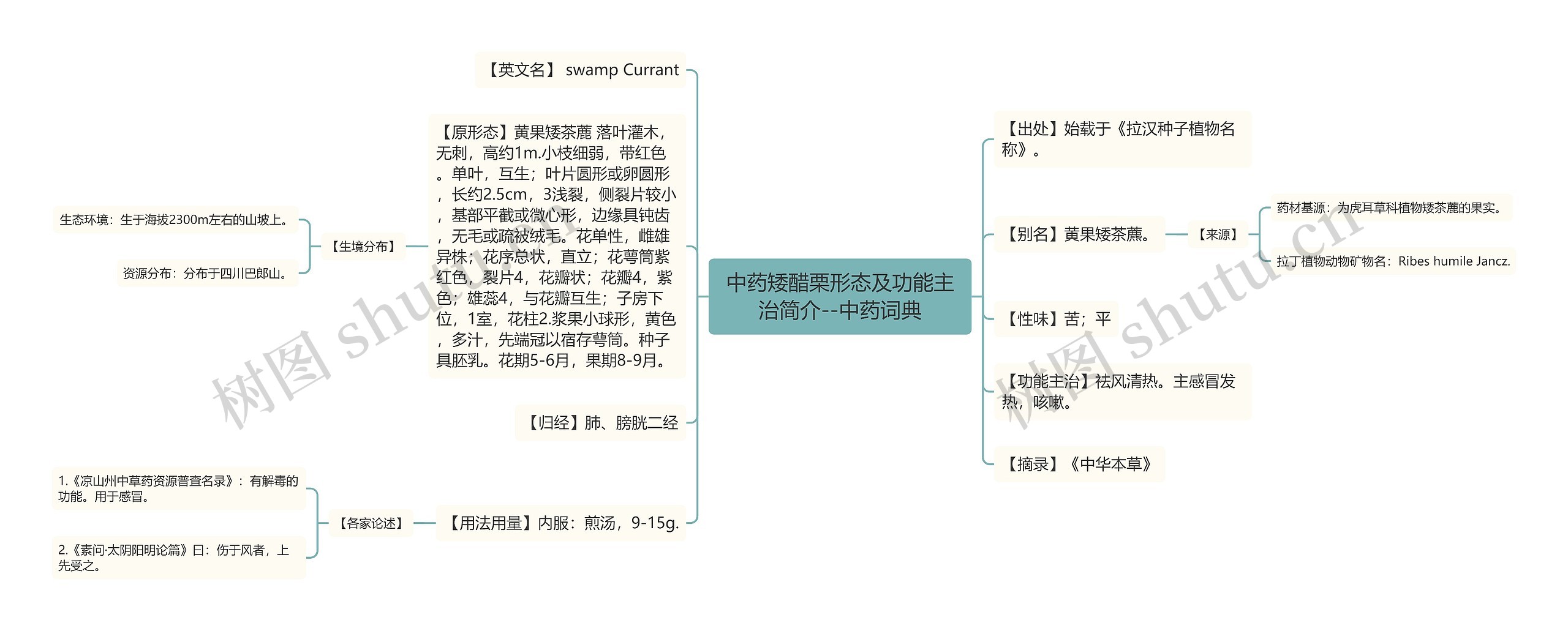 中药矮醋栗形态及功能主治简介--中药词典思维导图