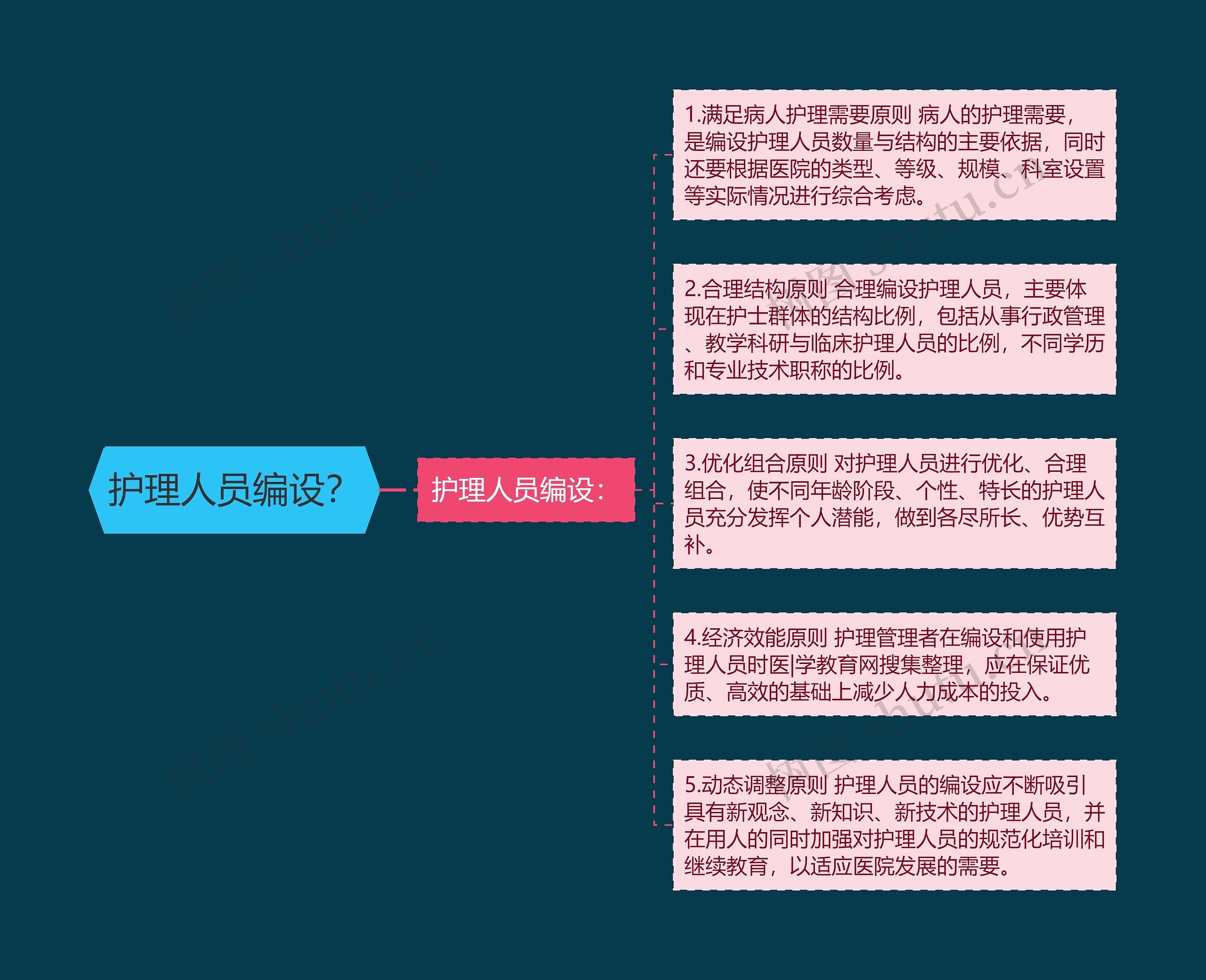 护理人员编设? 护理人员编设?