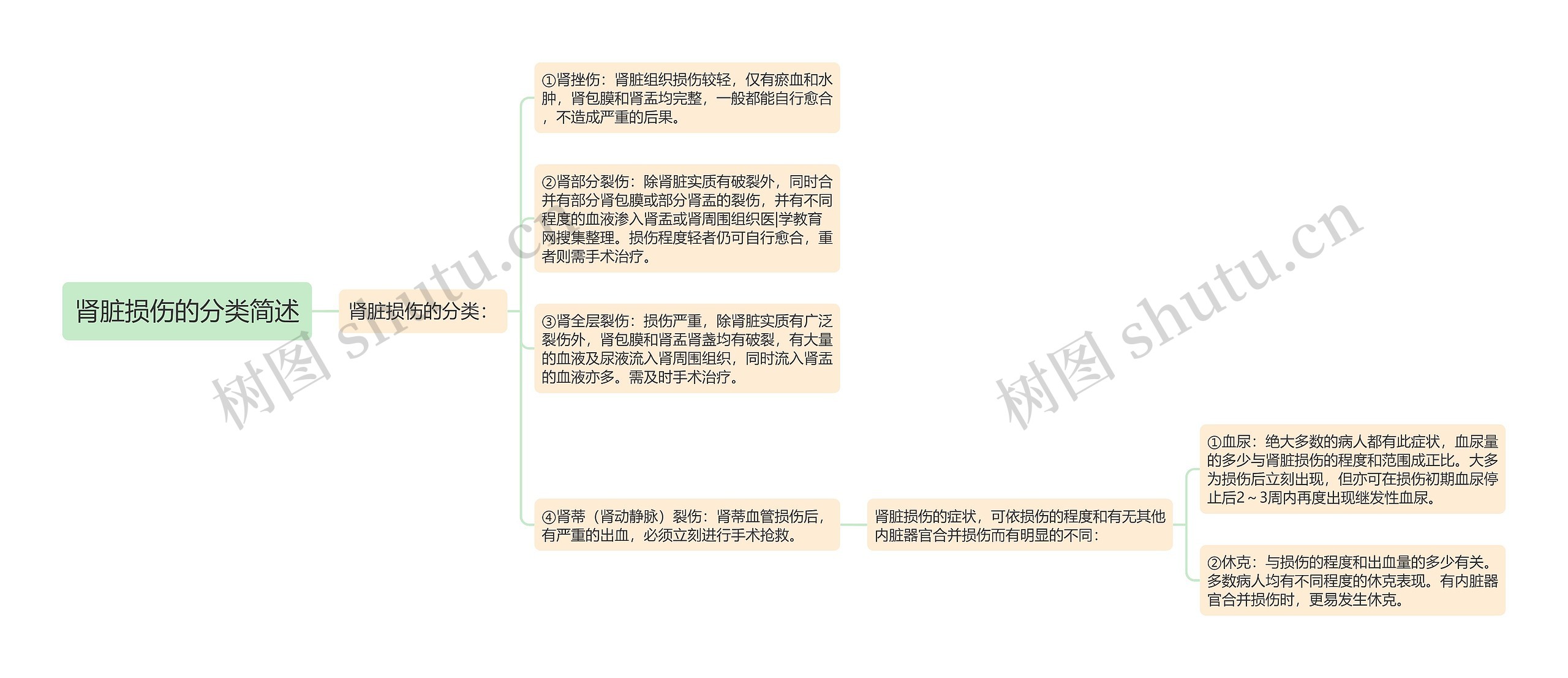 肾脏损伤的分类简述思维导图