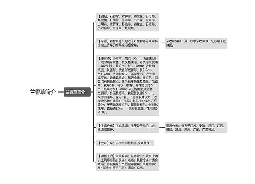 兰香草简介