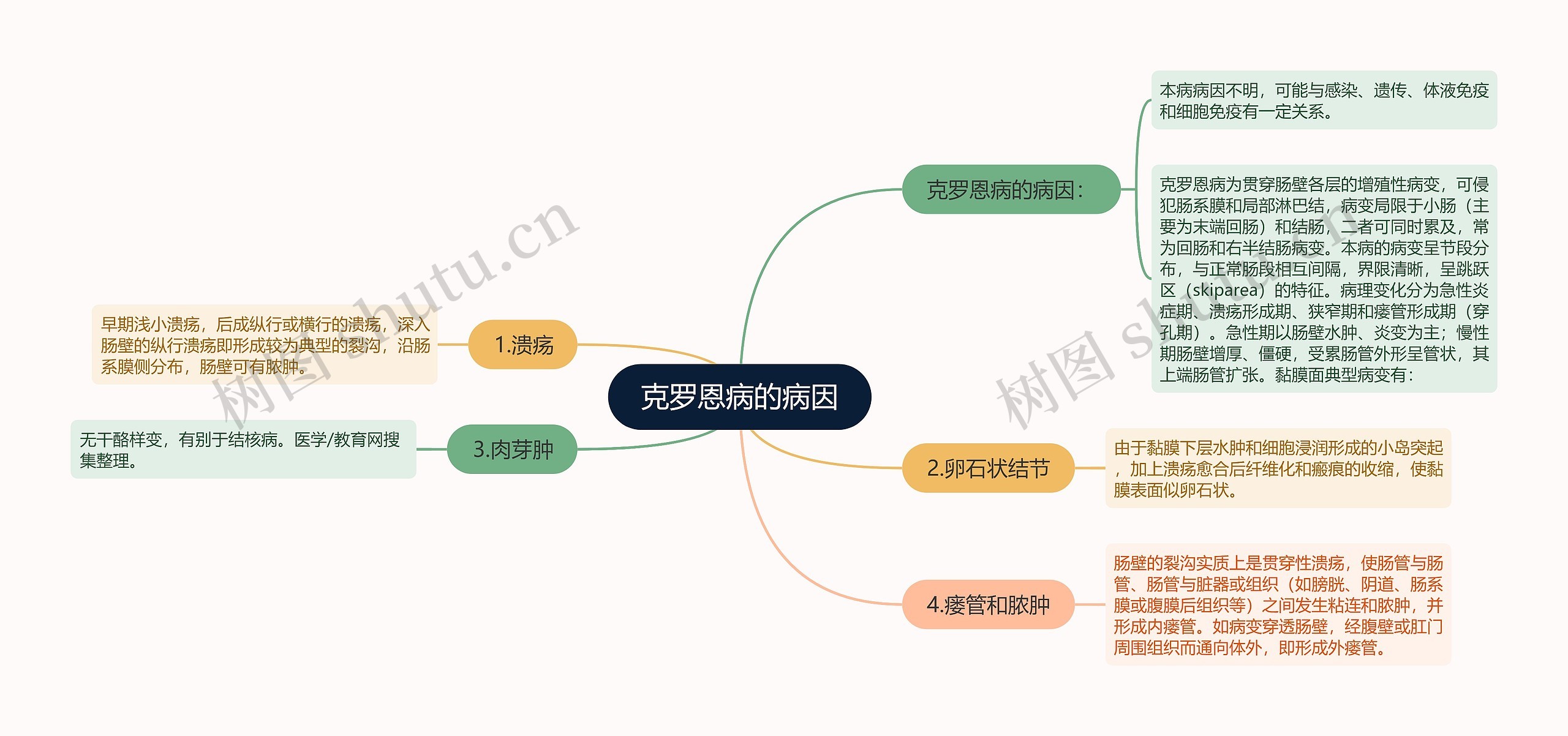 克罗恩病的病因思维导图