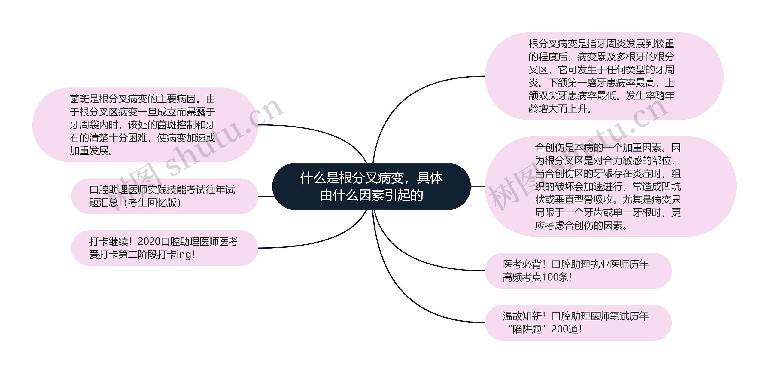 什么是根分叉病变，具体由什么因素引起的思维导图