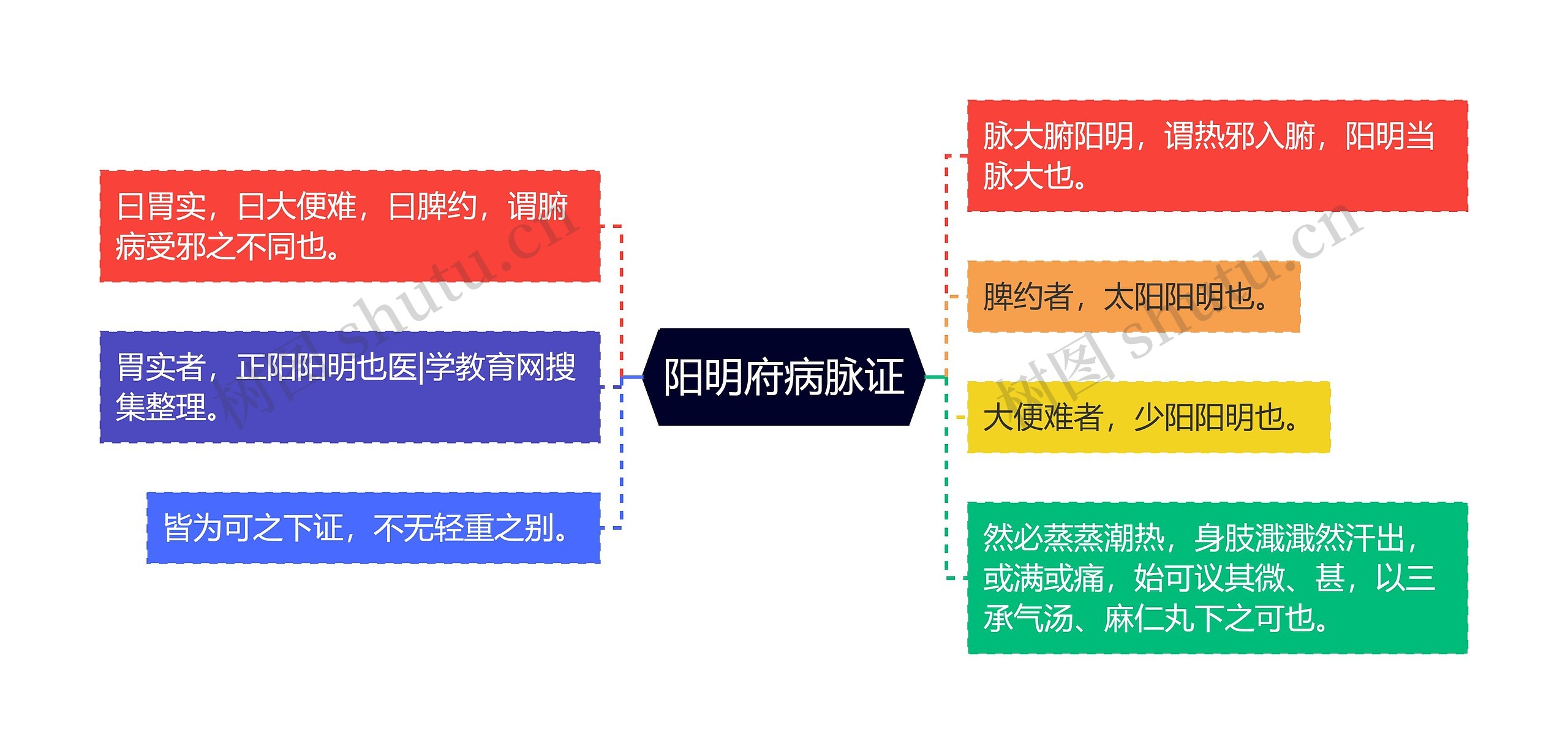 阳明府病脉证思维导图