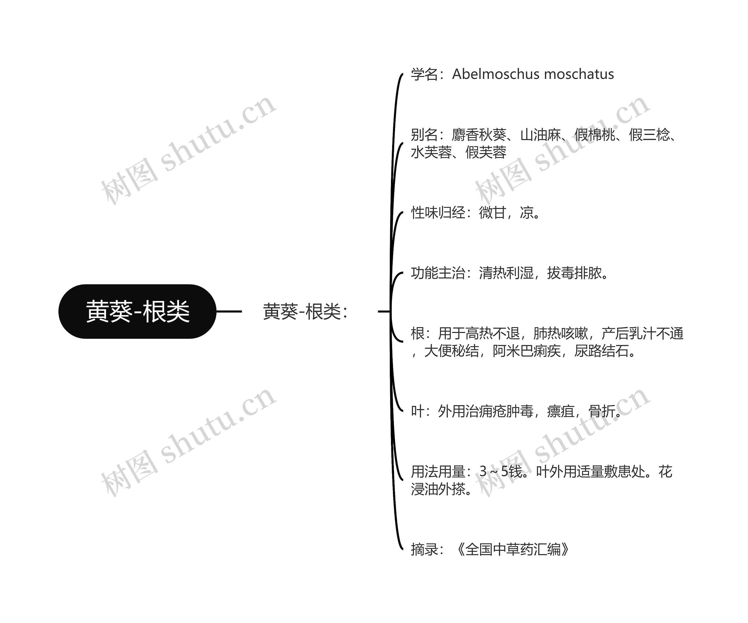 黄葵-根类思维导图