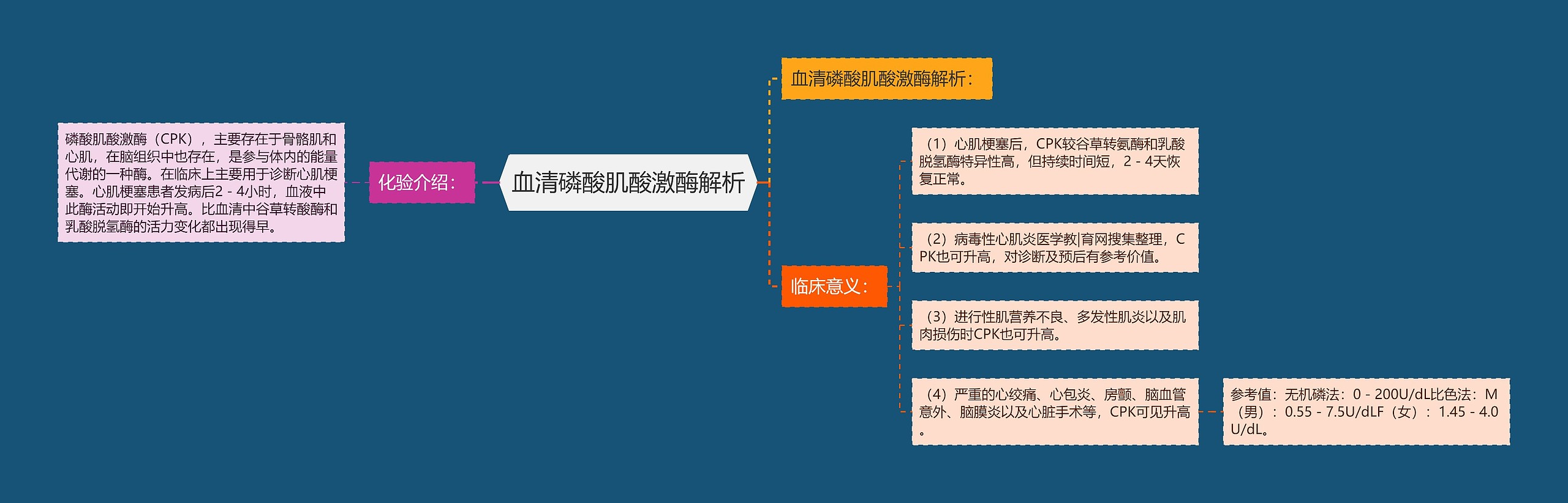 血清磷酸肌酸激酶解析思维导图