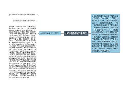 小细胞肺癌的3个亚型