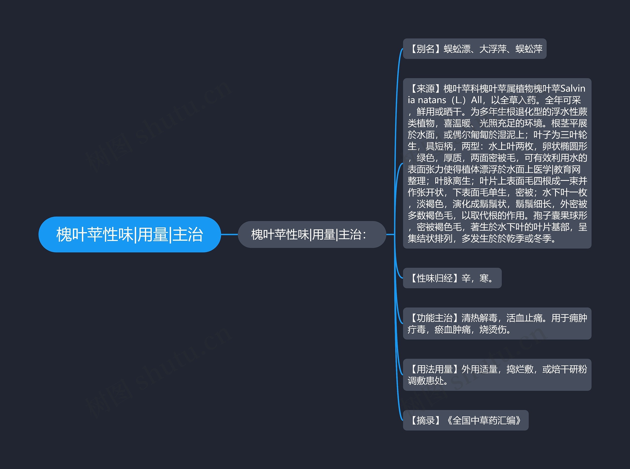 槐叶苹性味|用量|主治思维导图