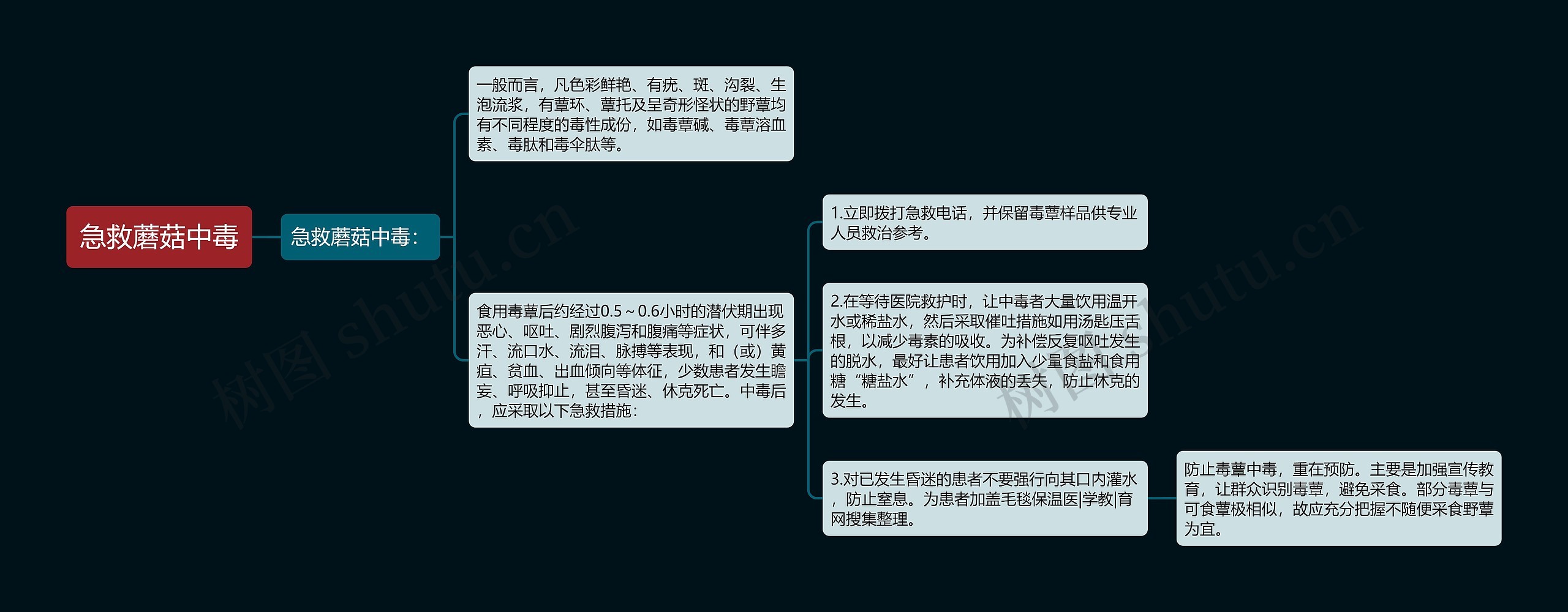 急救蘑菇中毒思维导图