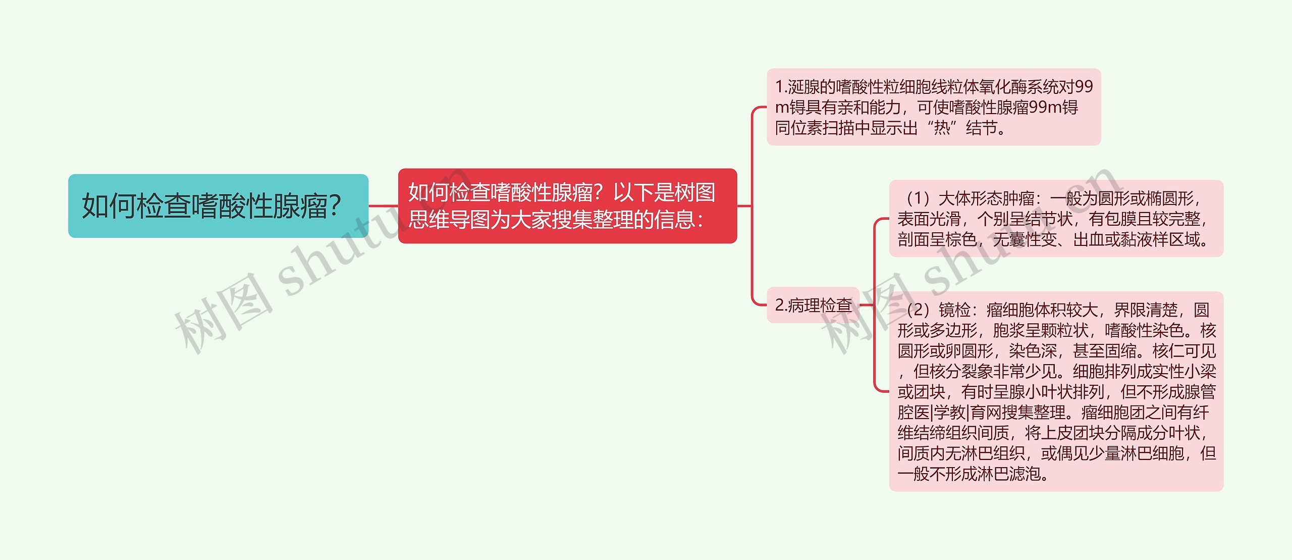 如何检查嗜酸性腺瘤？思维导图