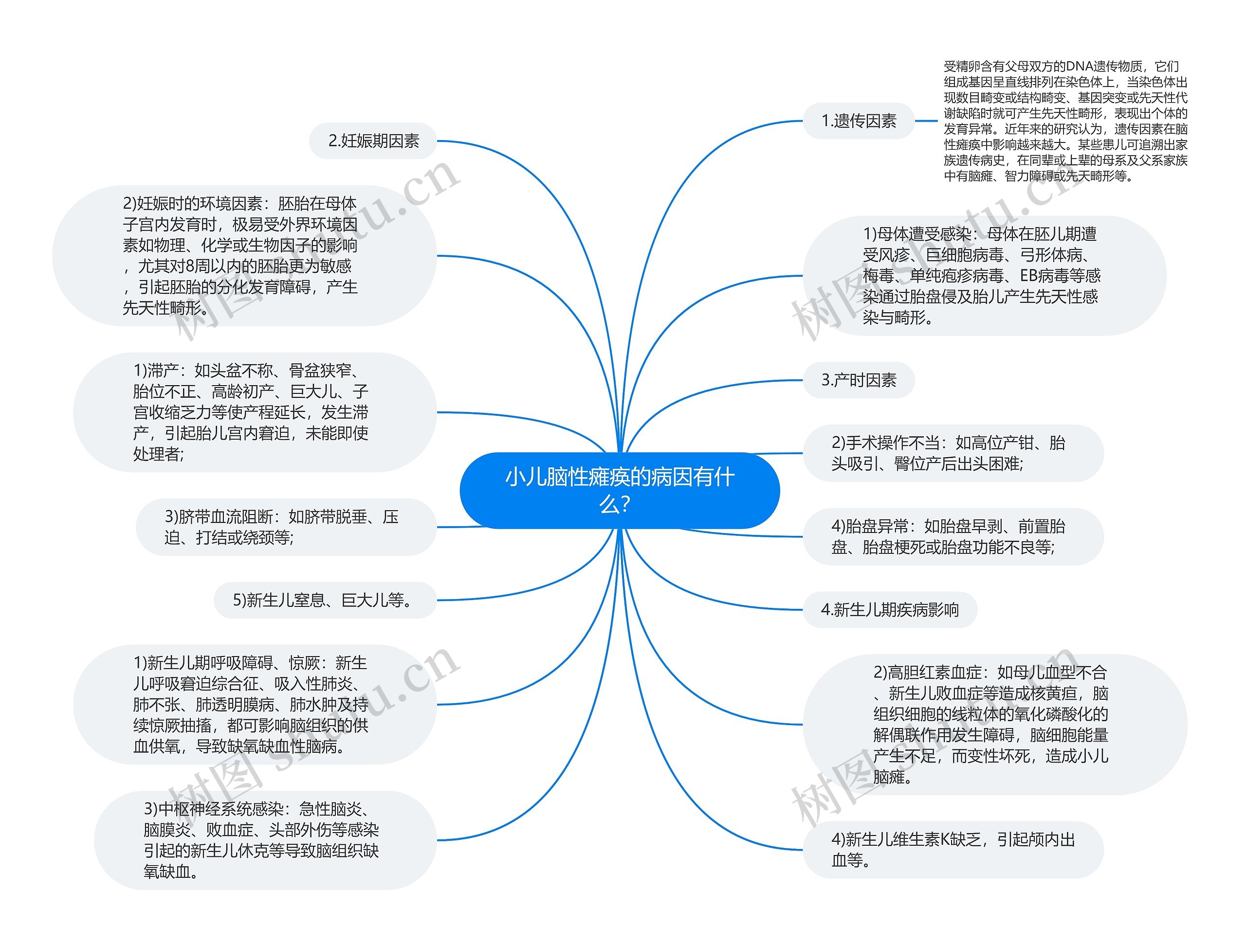 小儿脑性瘫痪的病因有什么？思维导图