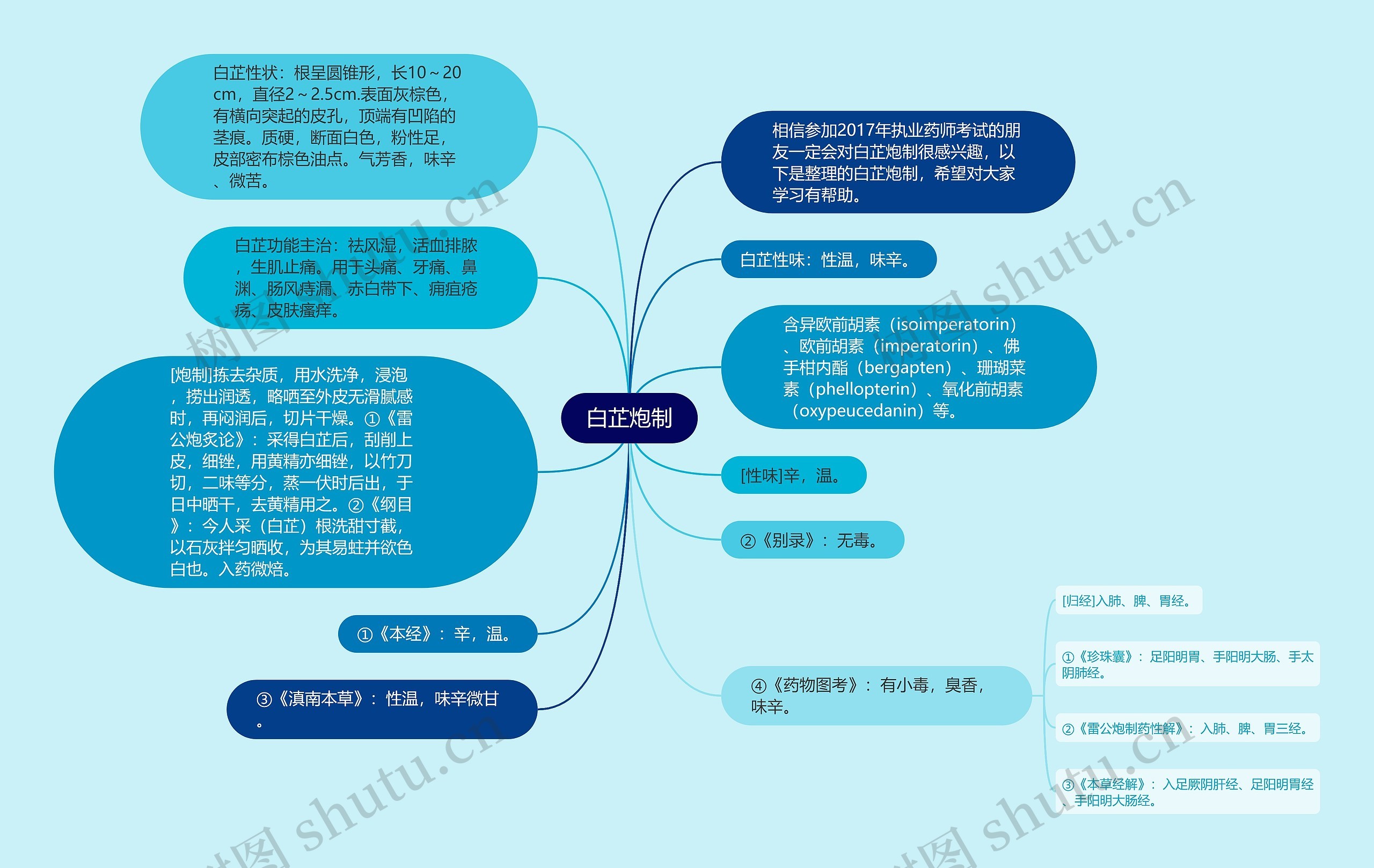 白芷炮制思维导图