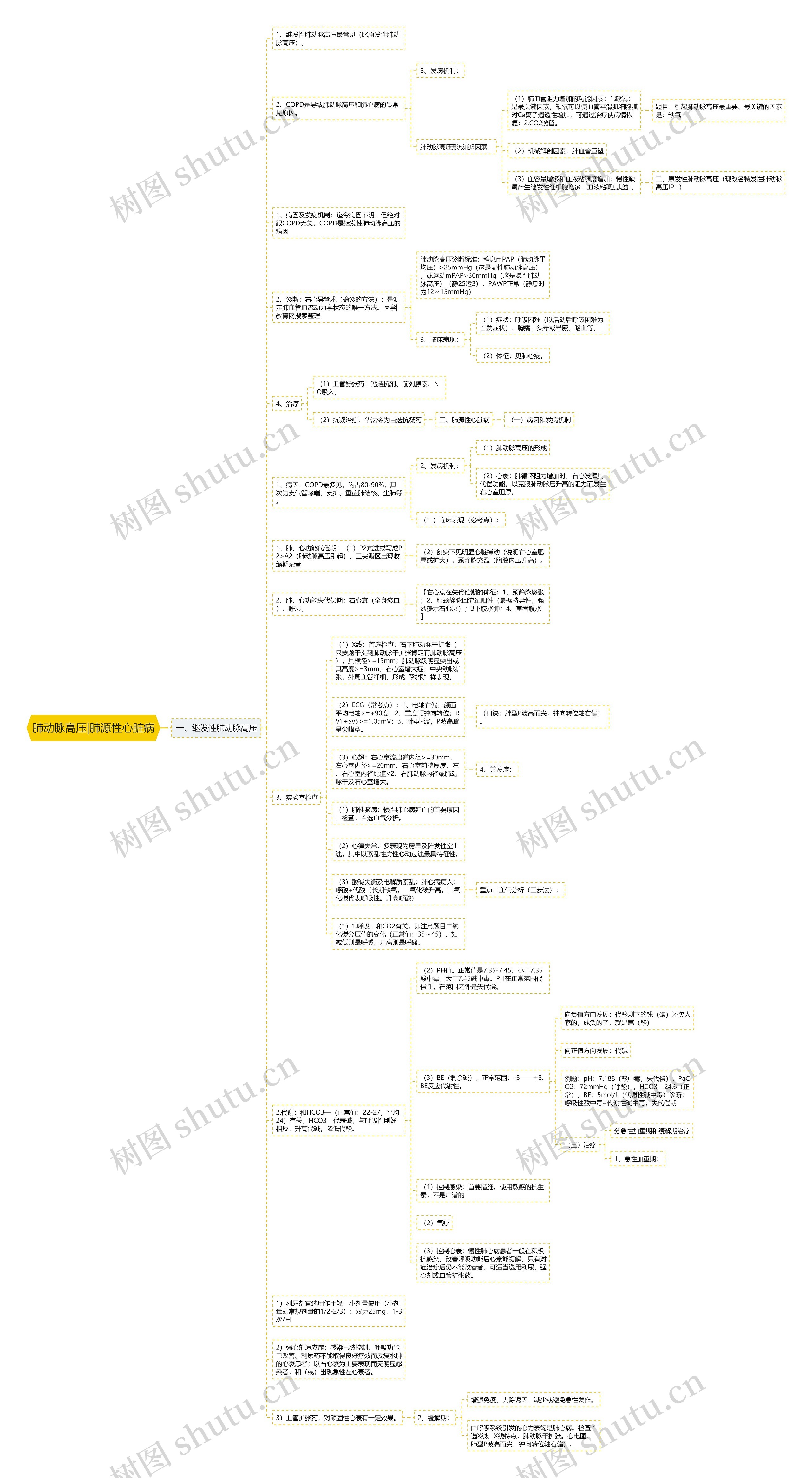肺动脉高压|肺源性心脏病思维导图