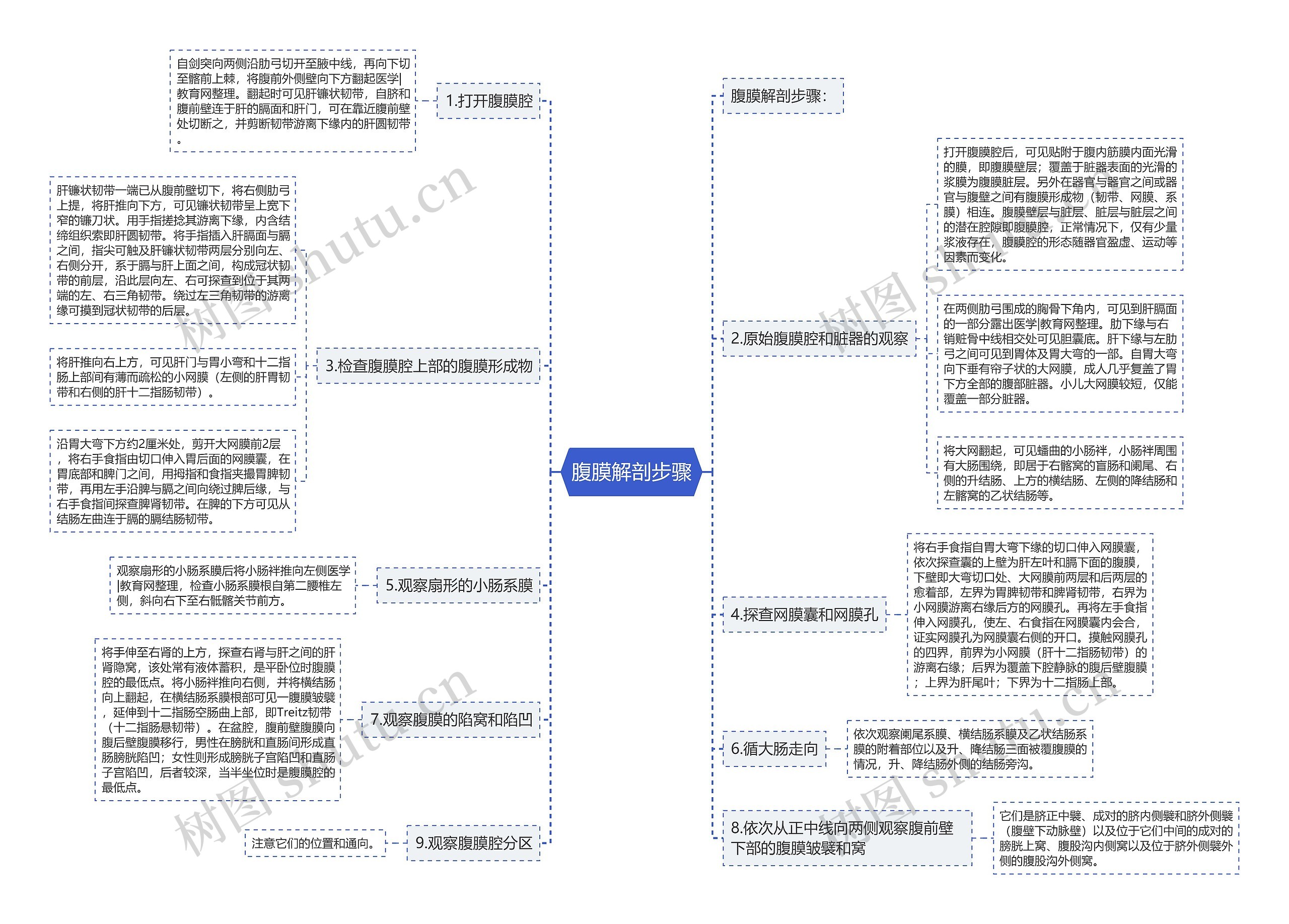 腹膜解剖步骤思维导图