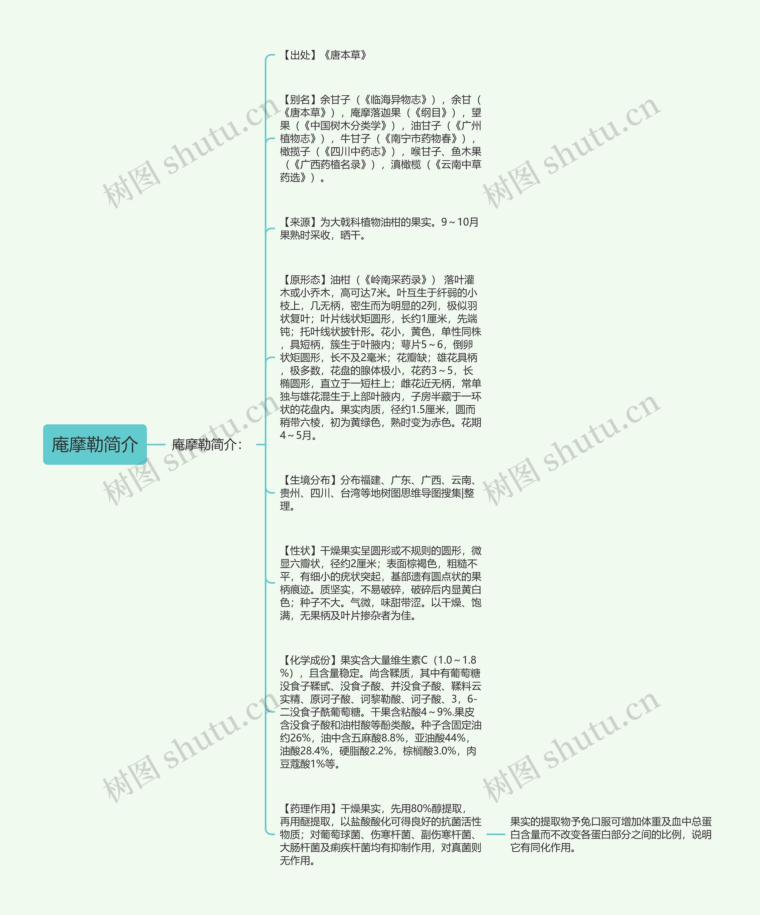 庵摩勒简介思维导图