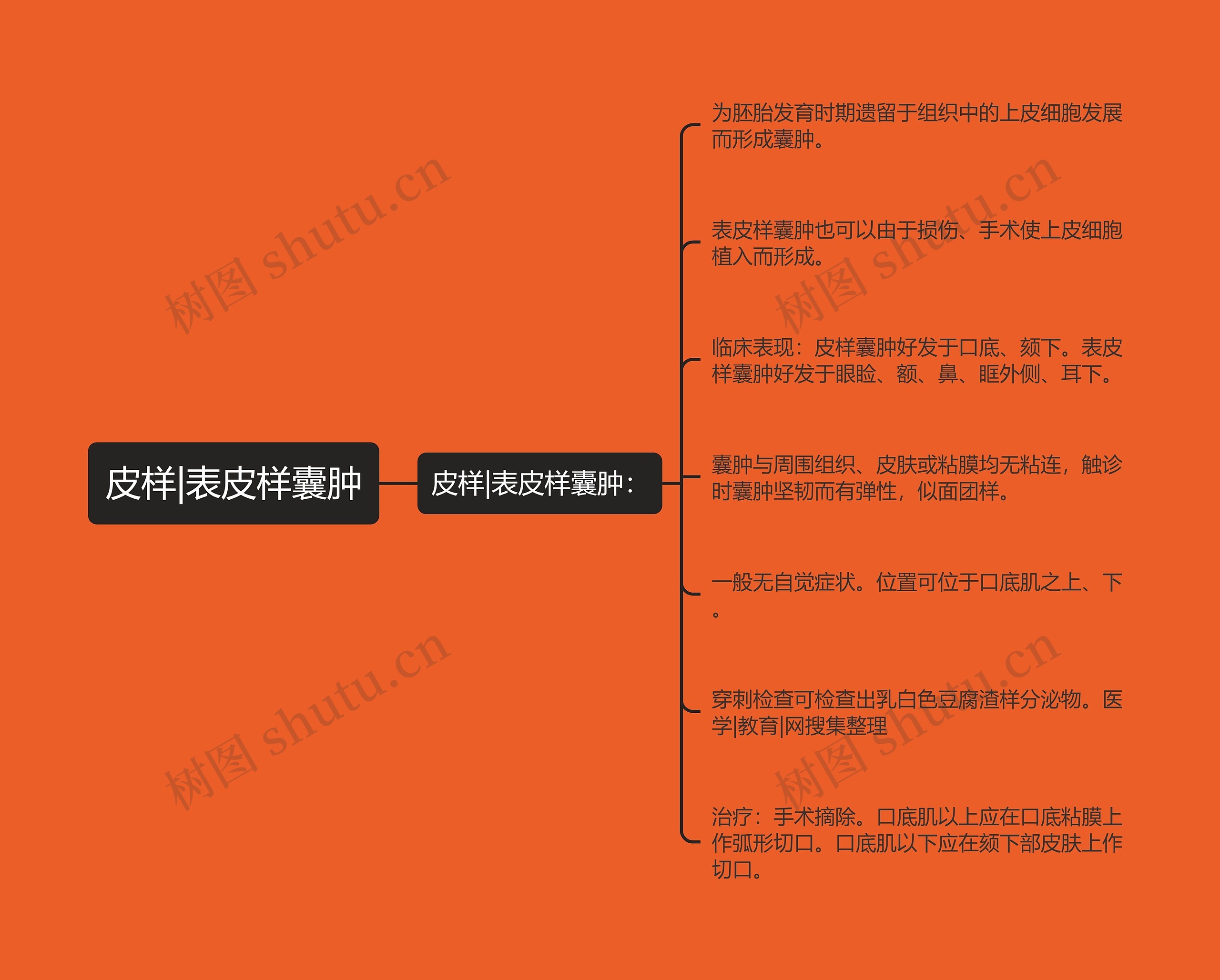 皮样|表皮样囊肿思维导图