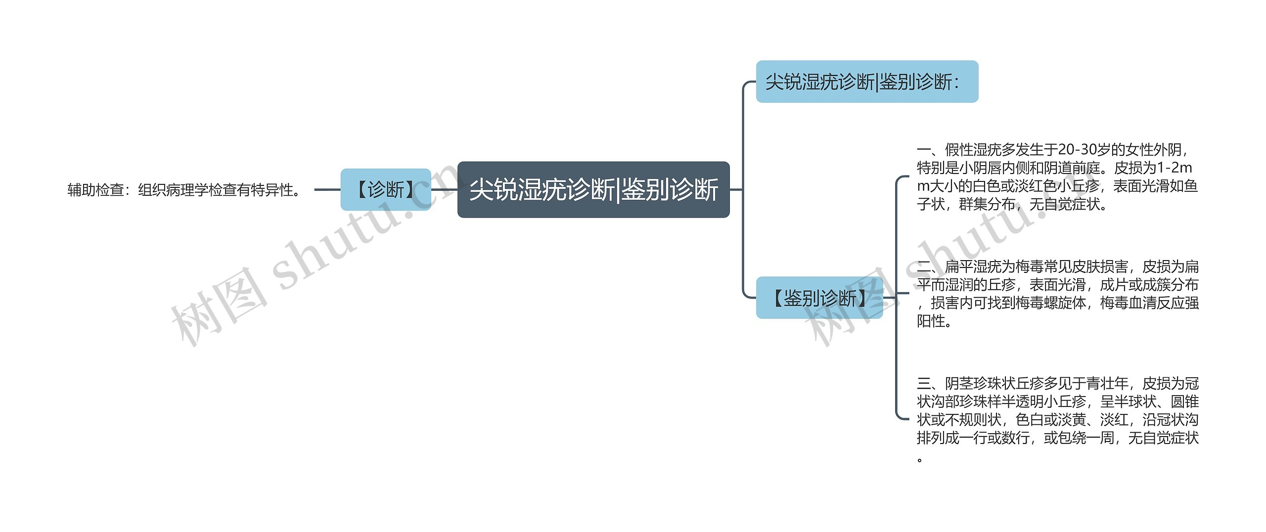 尖锐湿疣诊断|鉴别诊断思维导图