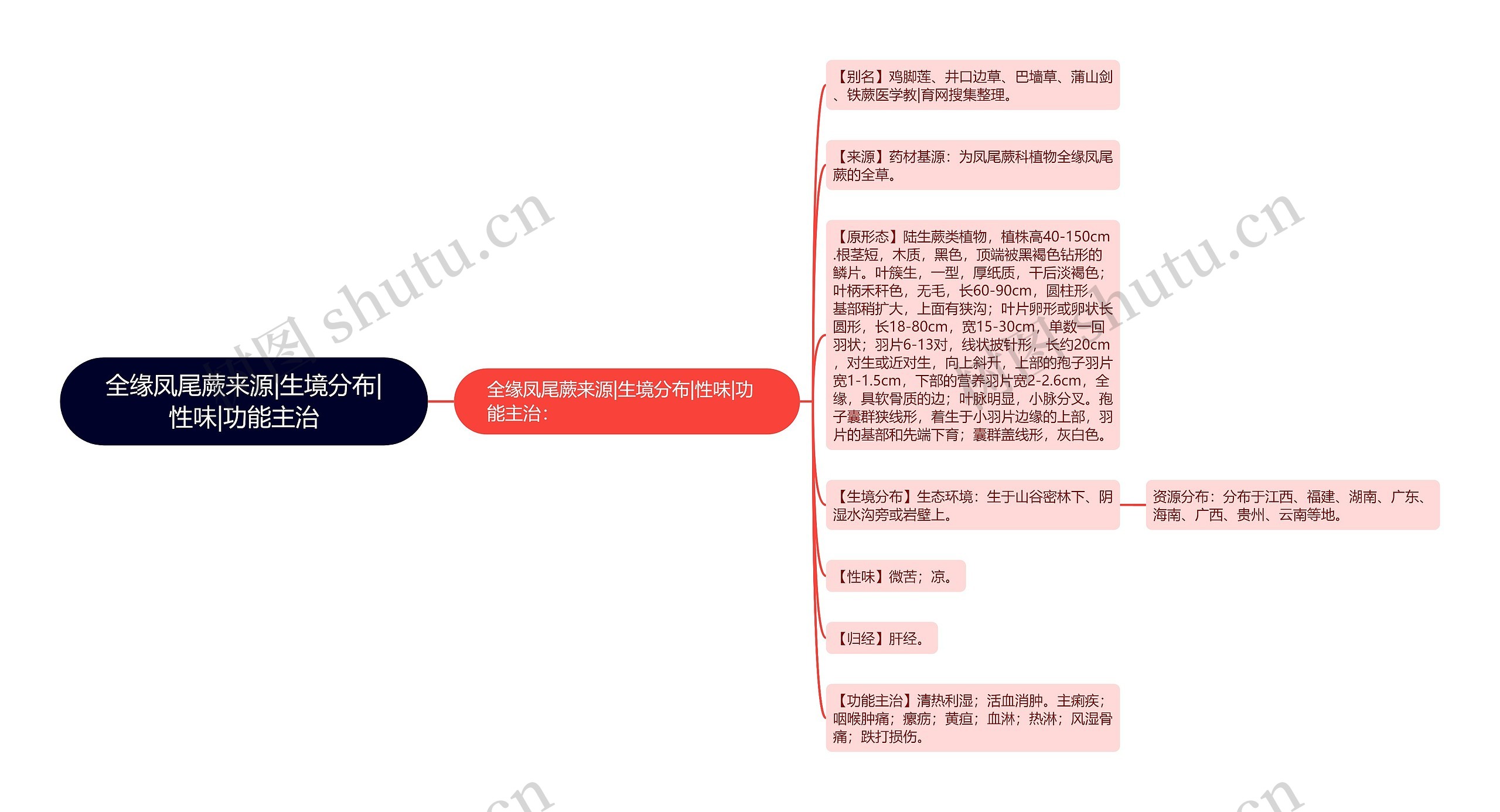 全缘凤尾蕨来源|生境分布|性味|功能主治