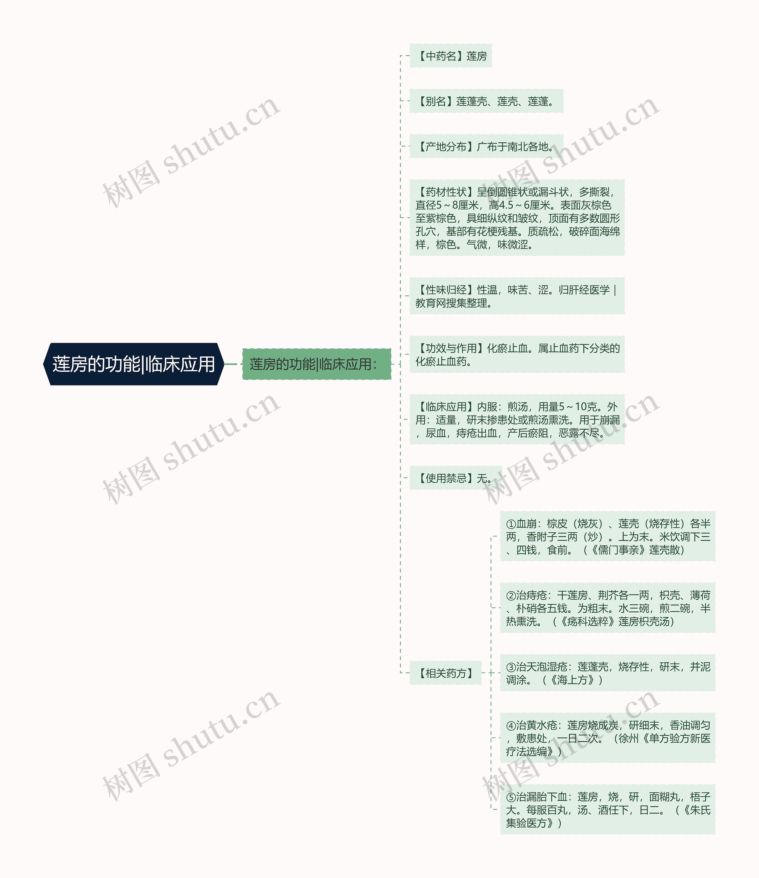 莲房的功能|临床应用思维导图