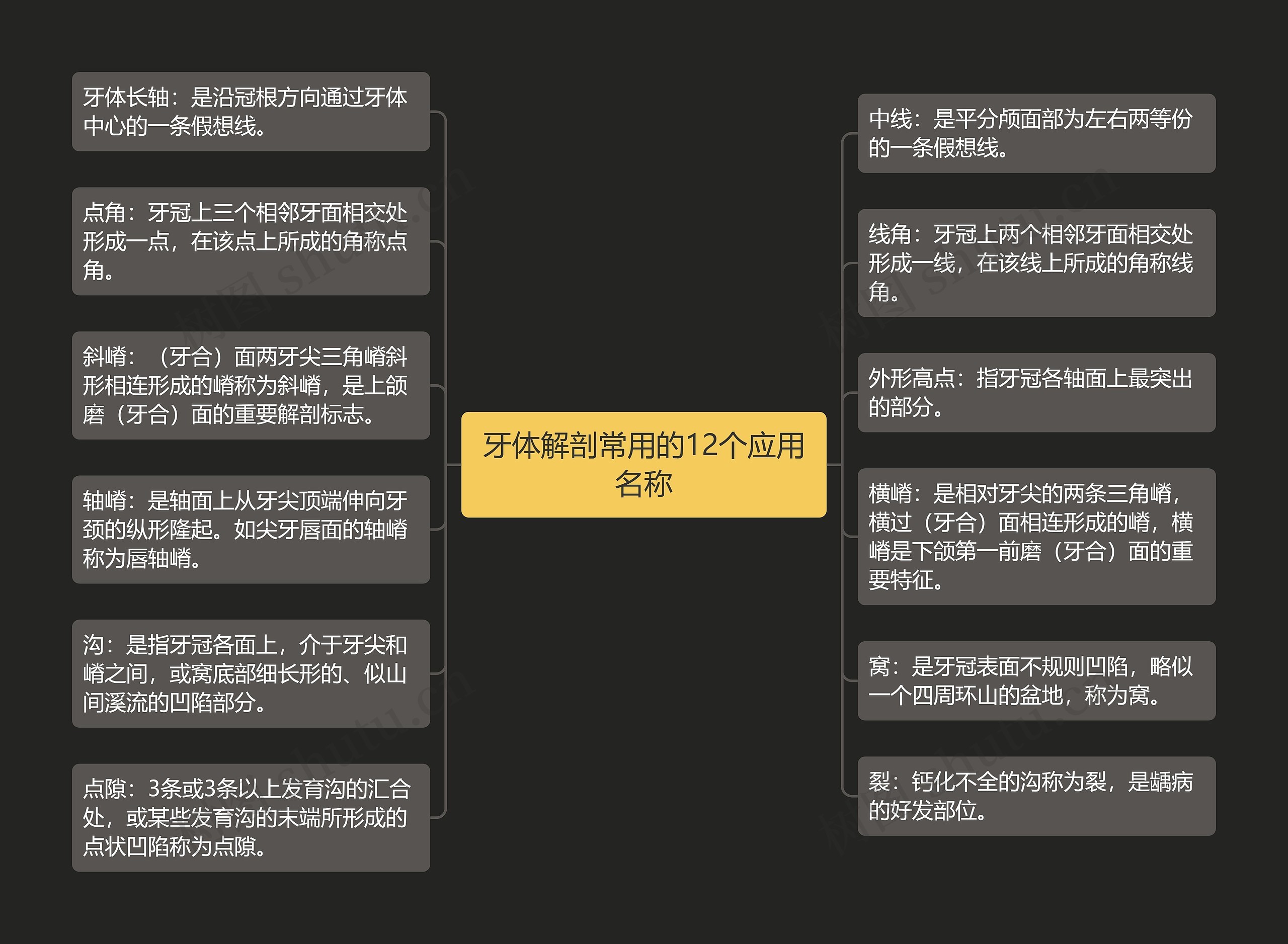 牙体解剖常用的12个应用名称