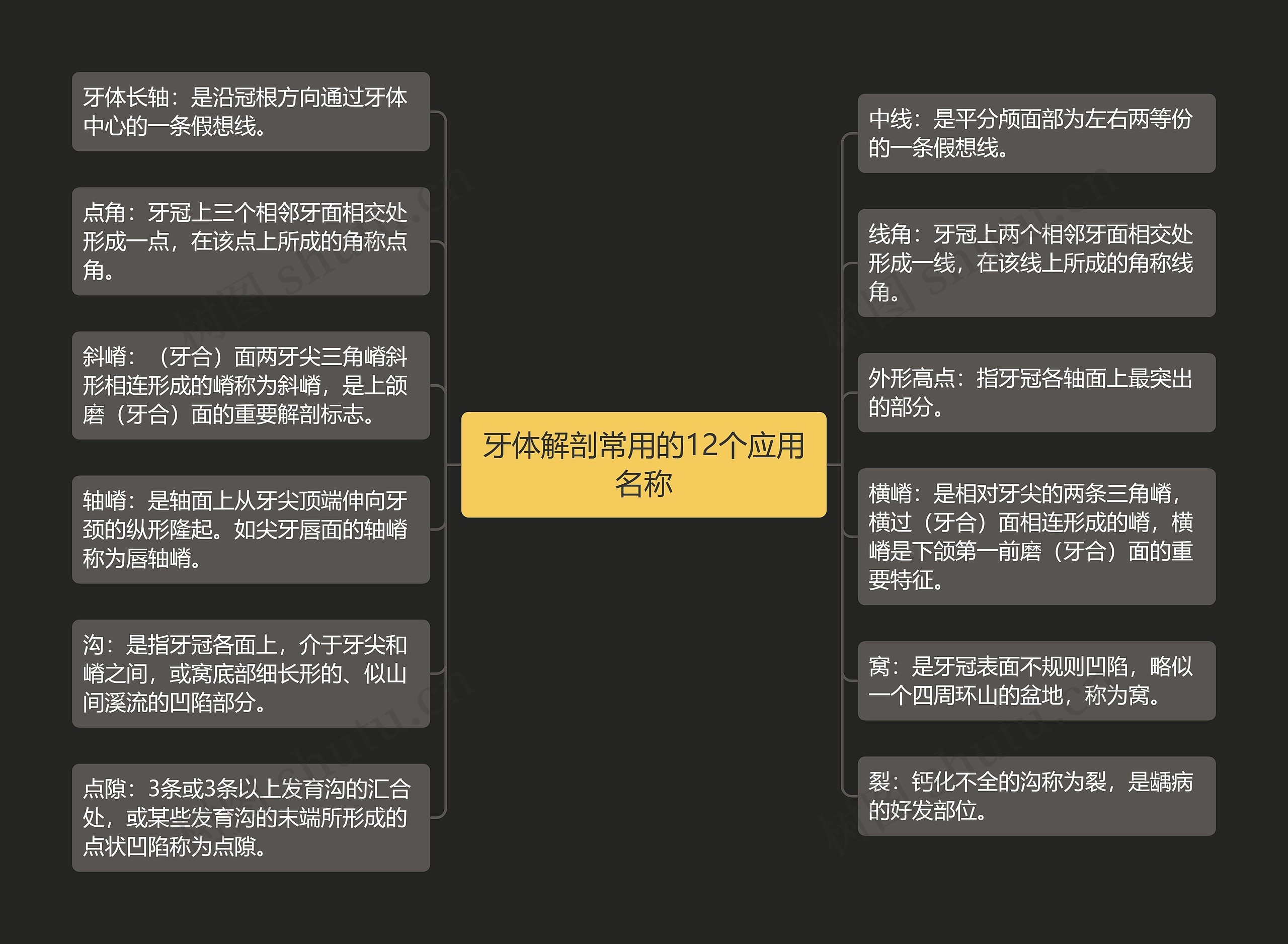 牙体解剖常用的12个应用名称思维导图