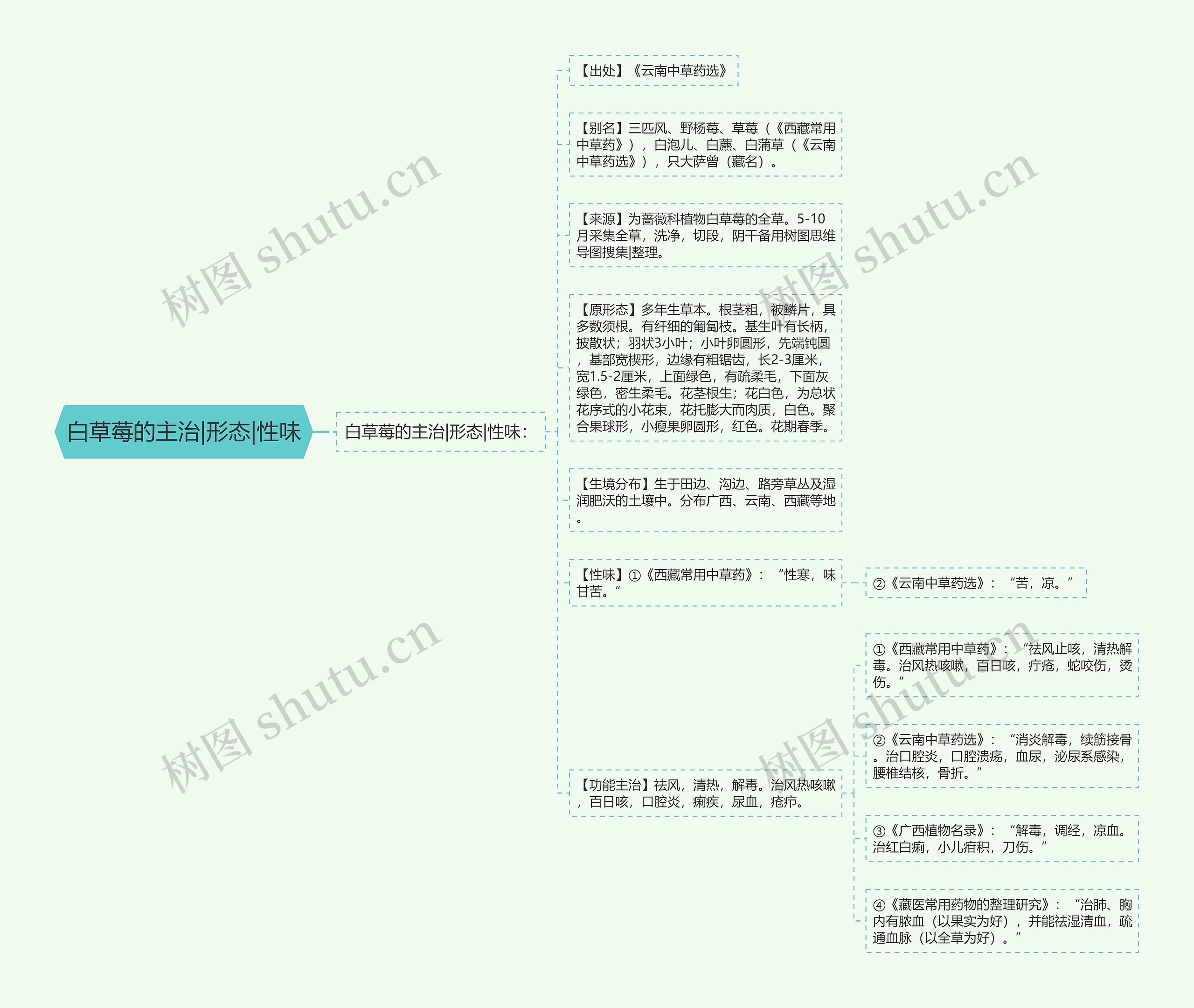 白草莓的主治|形态|性味思维导图