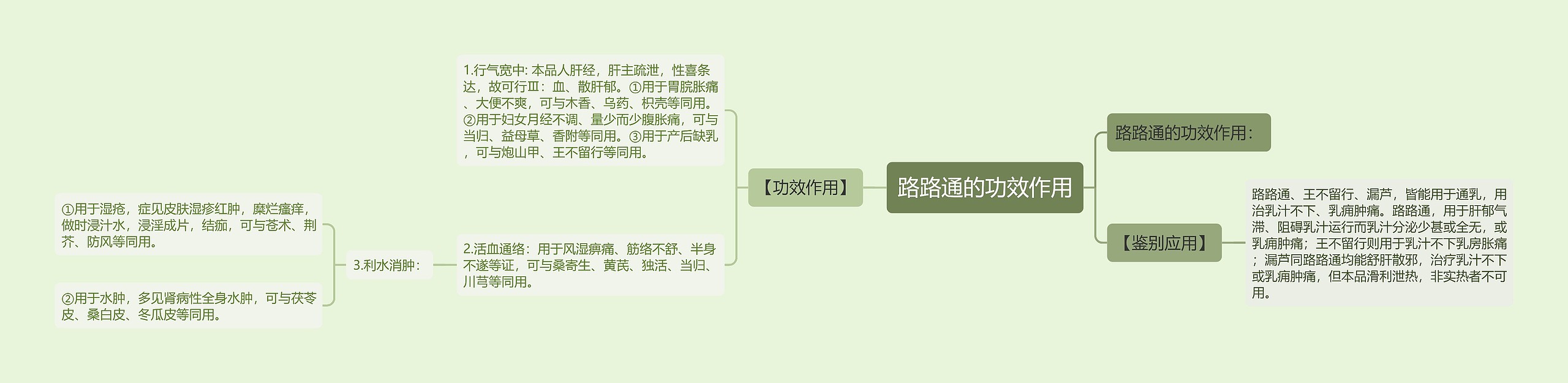 路路通的功效作用思维导图