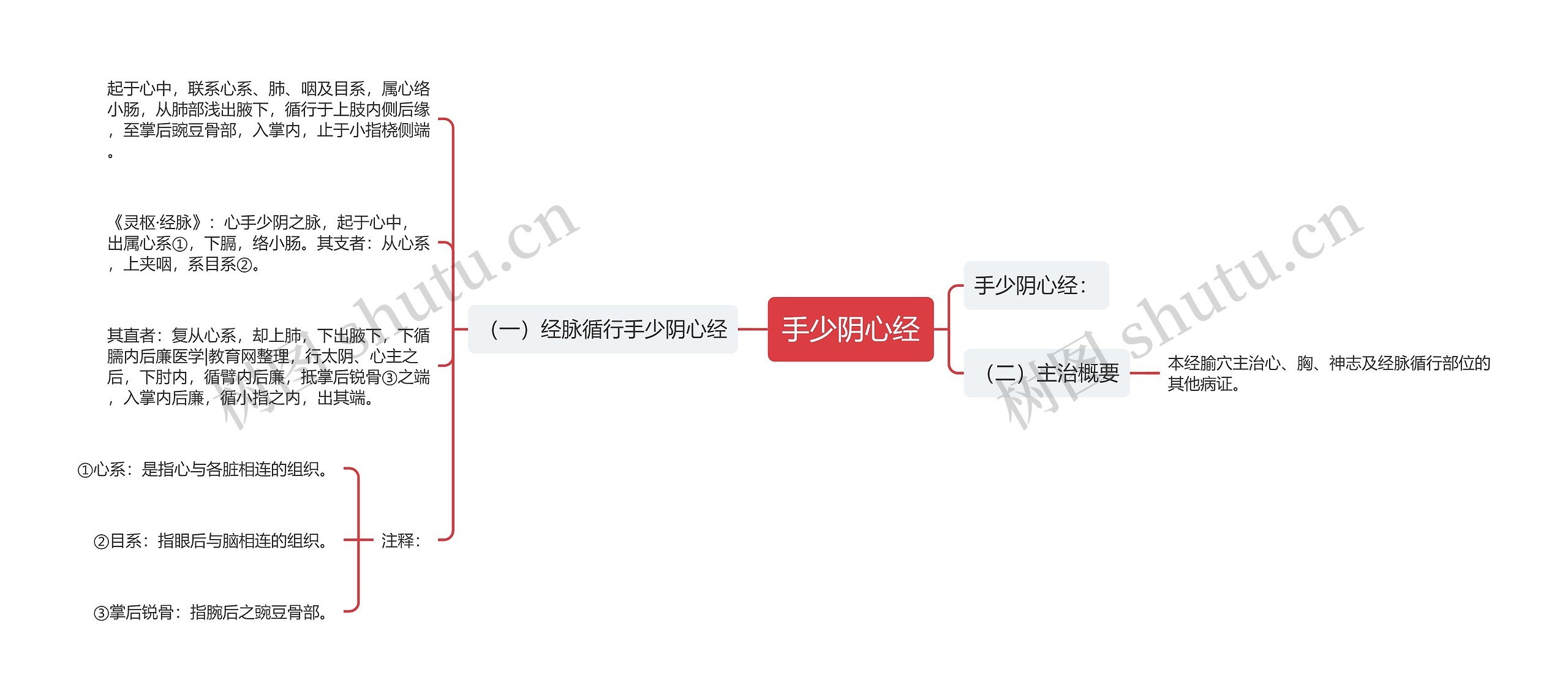 手少阴心经思维导图