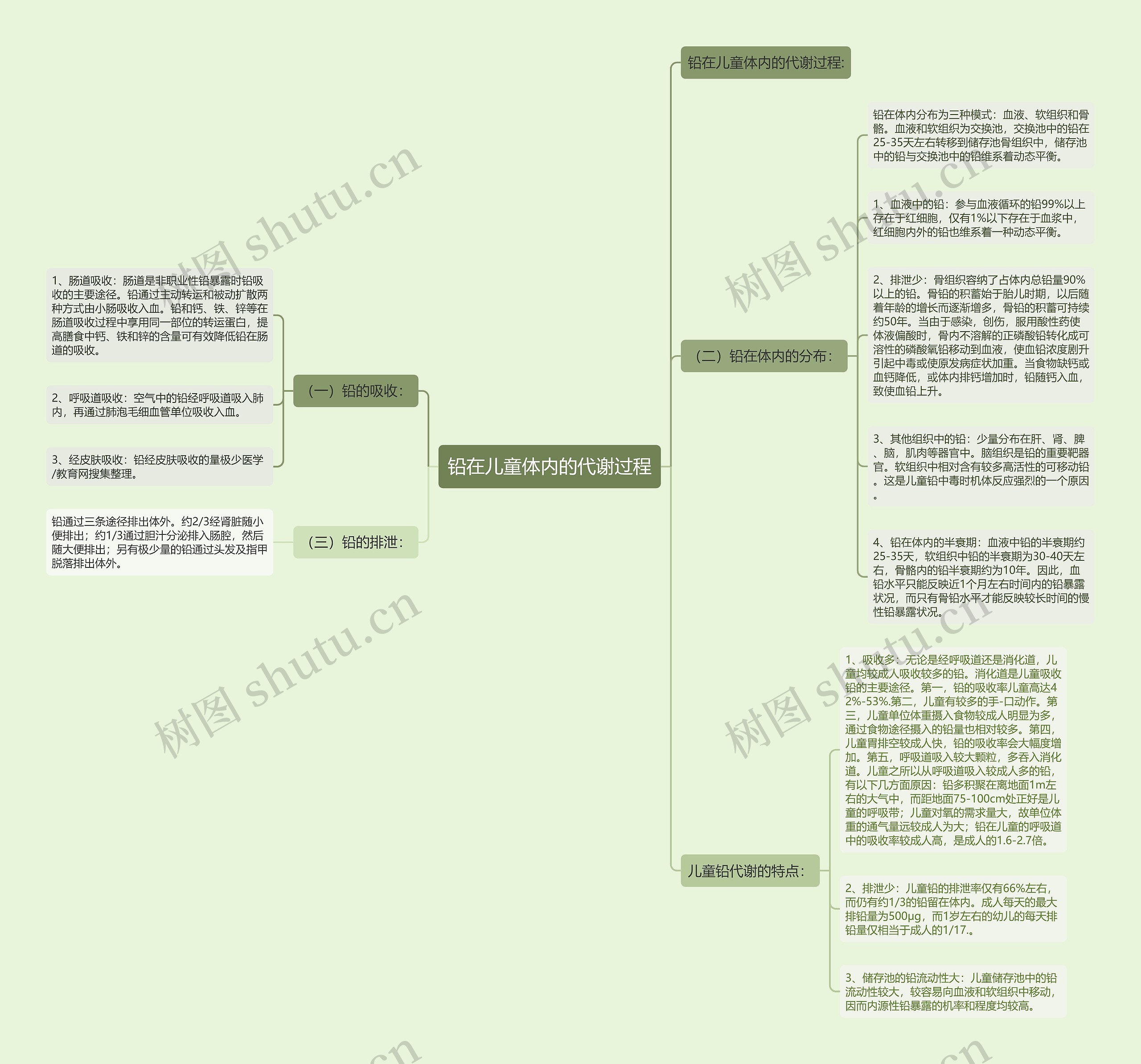 铅在儿童体内的代谢过程思维导图