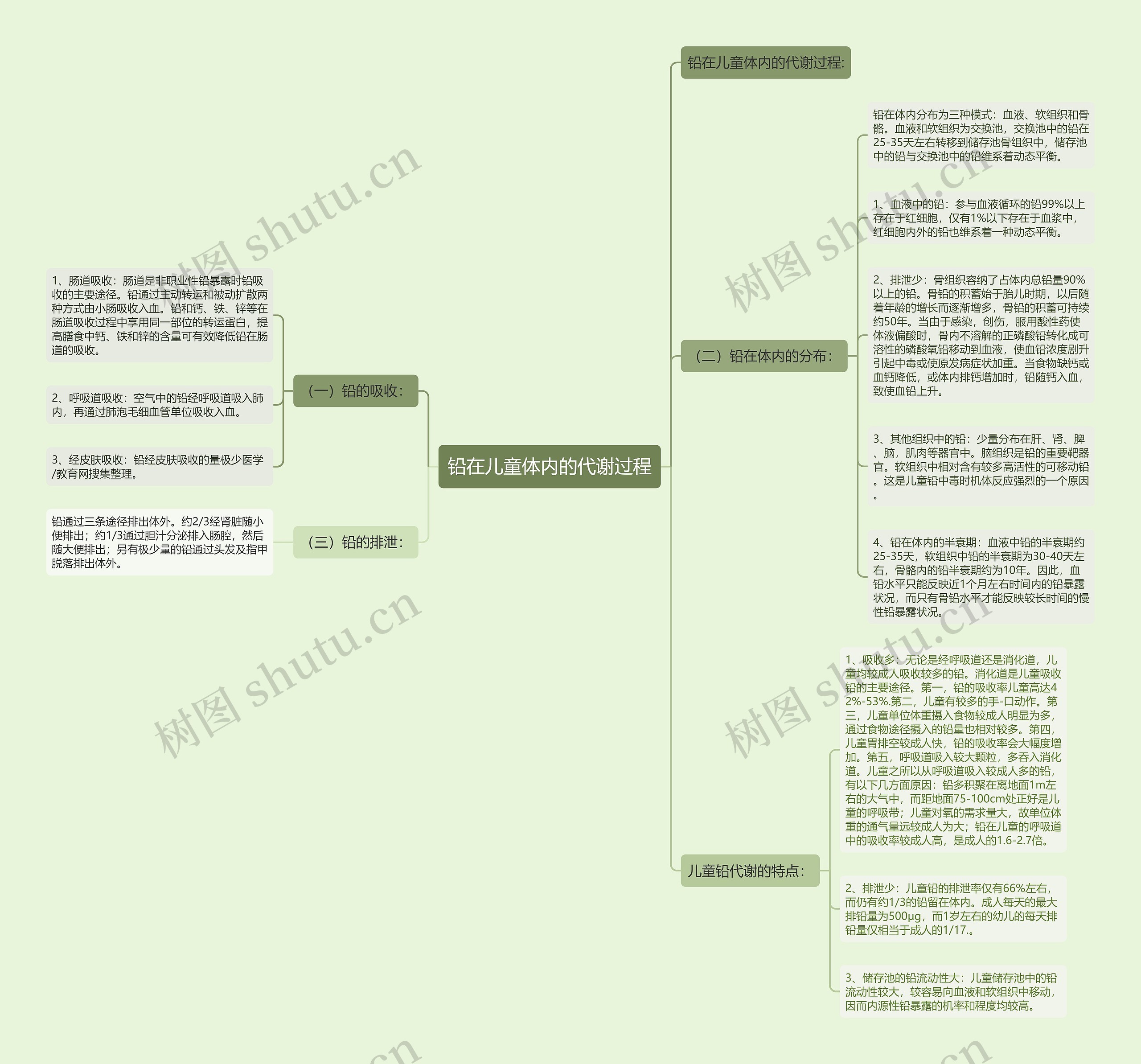 铅在儿童体内的代谢过程 铅在儿童体内的代谢过程