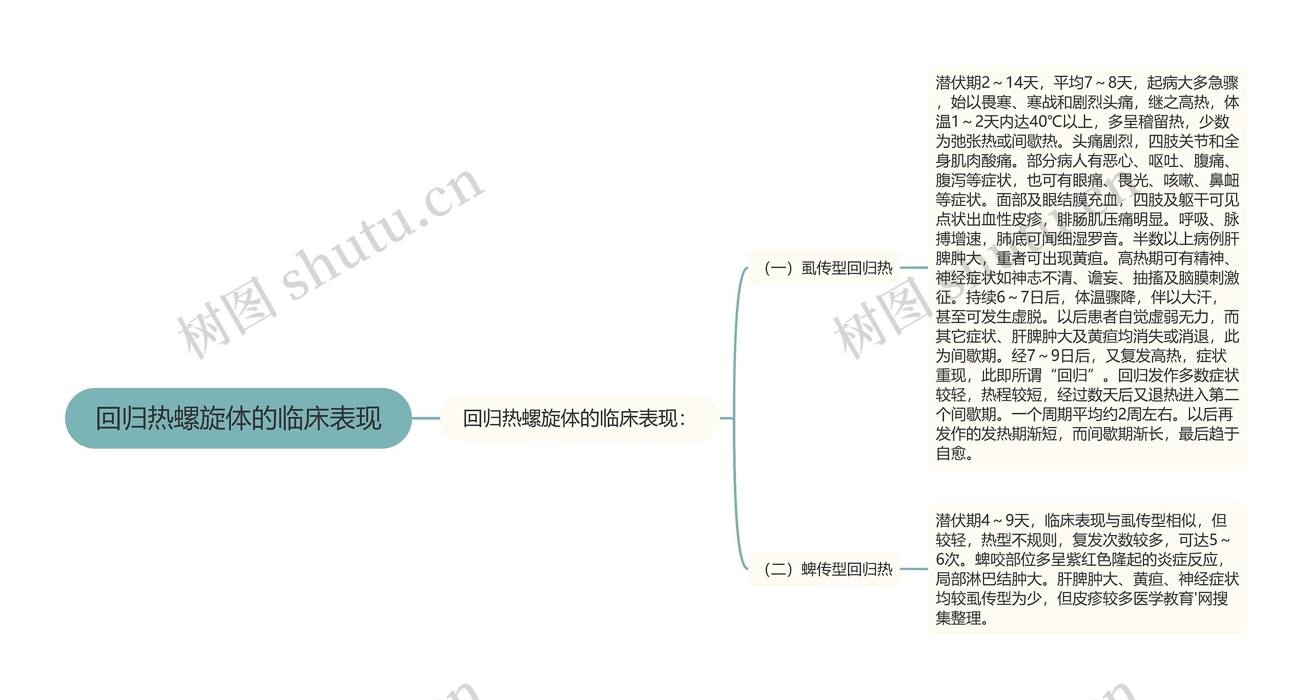 回归热螺旋体的临床表现