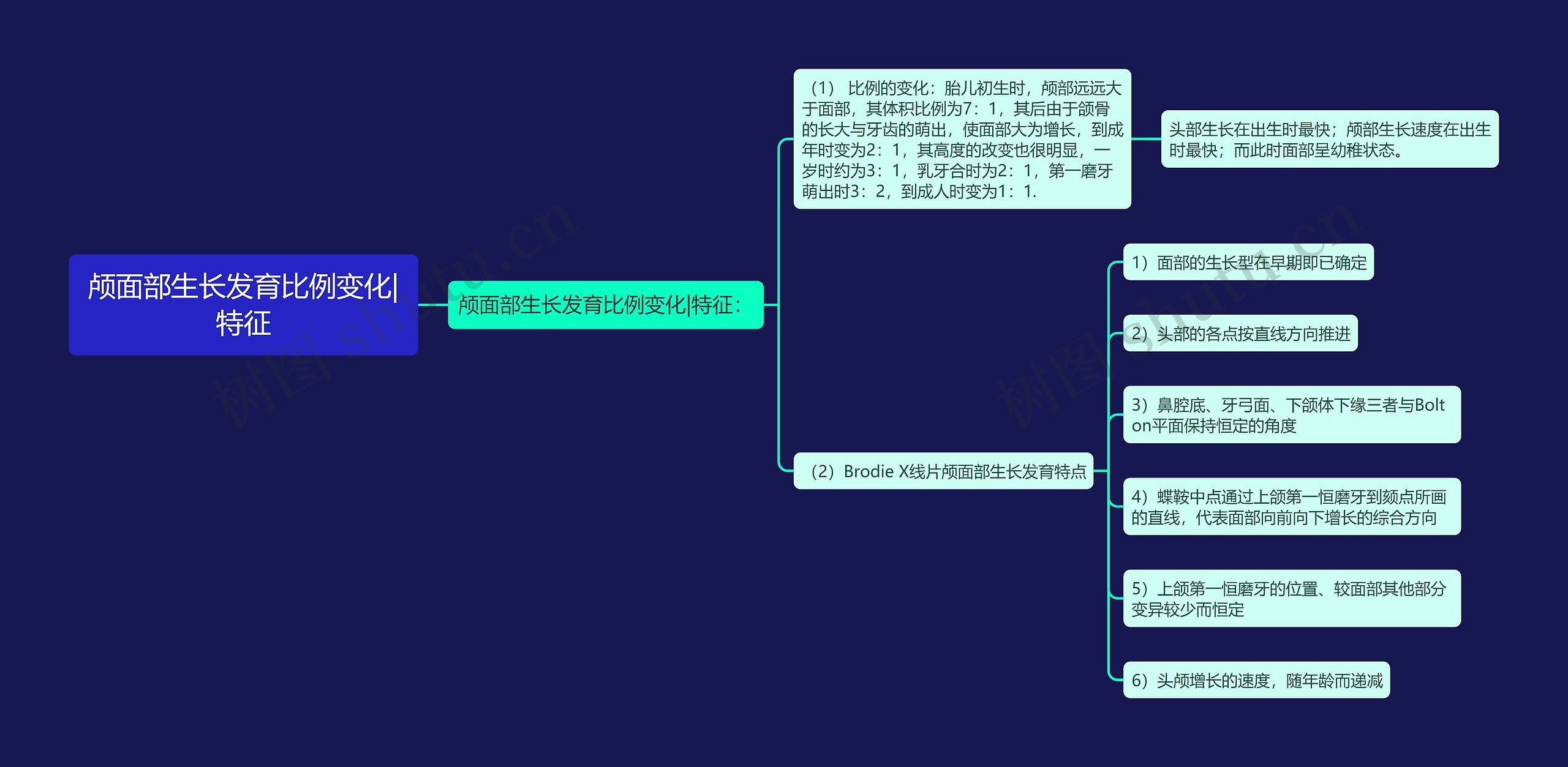 颅面部生长发育比例变化|特征