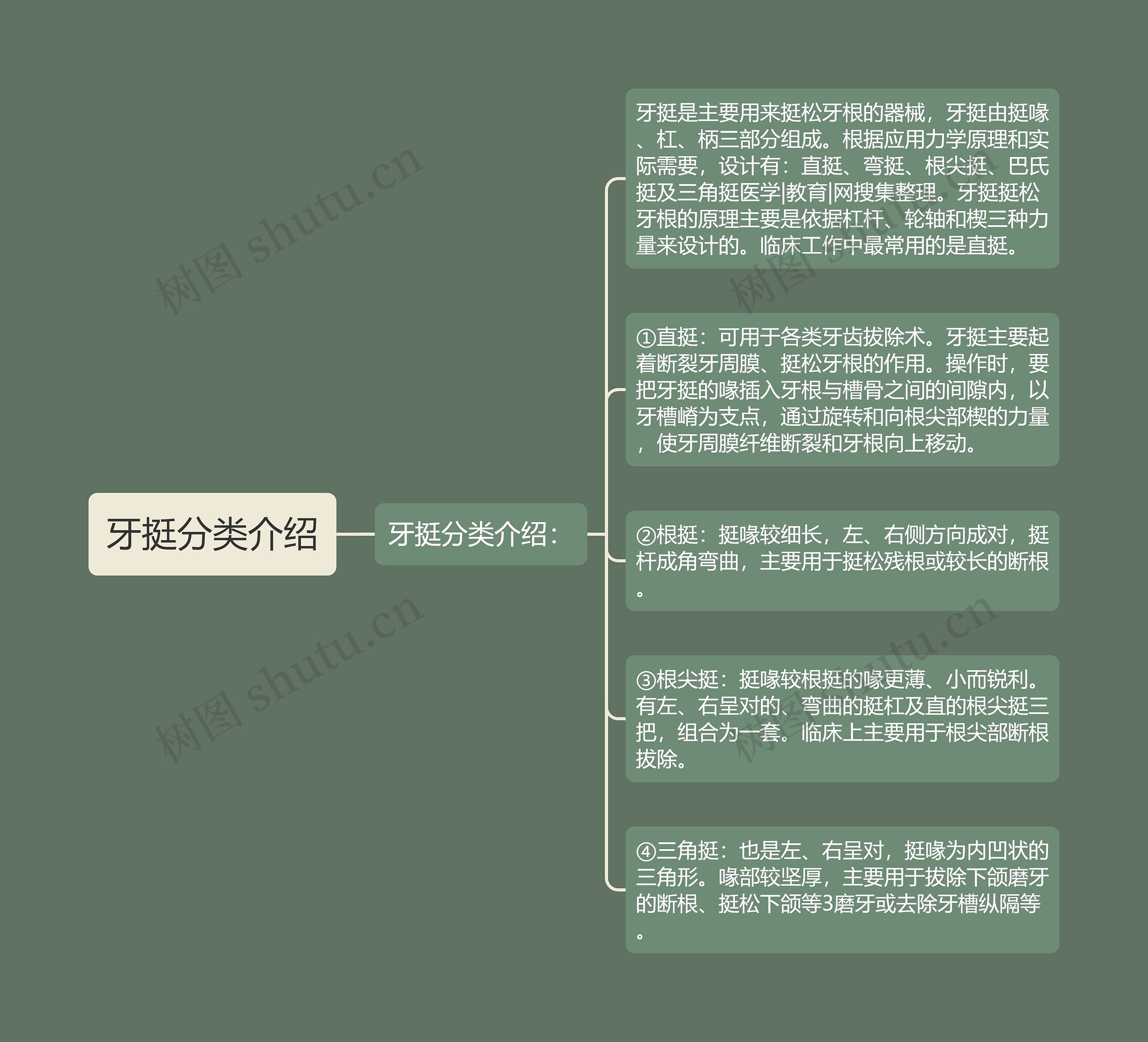 牙挺分类介绍思维导图