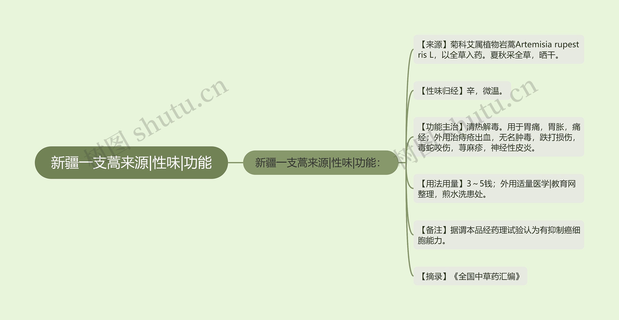 新疆一支蒿来源|性味|功能思维导图