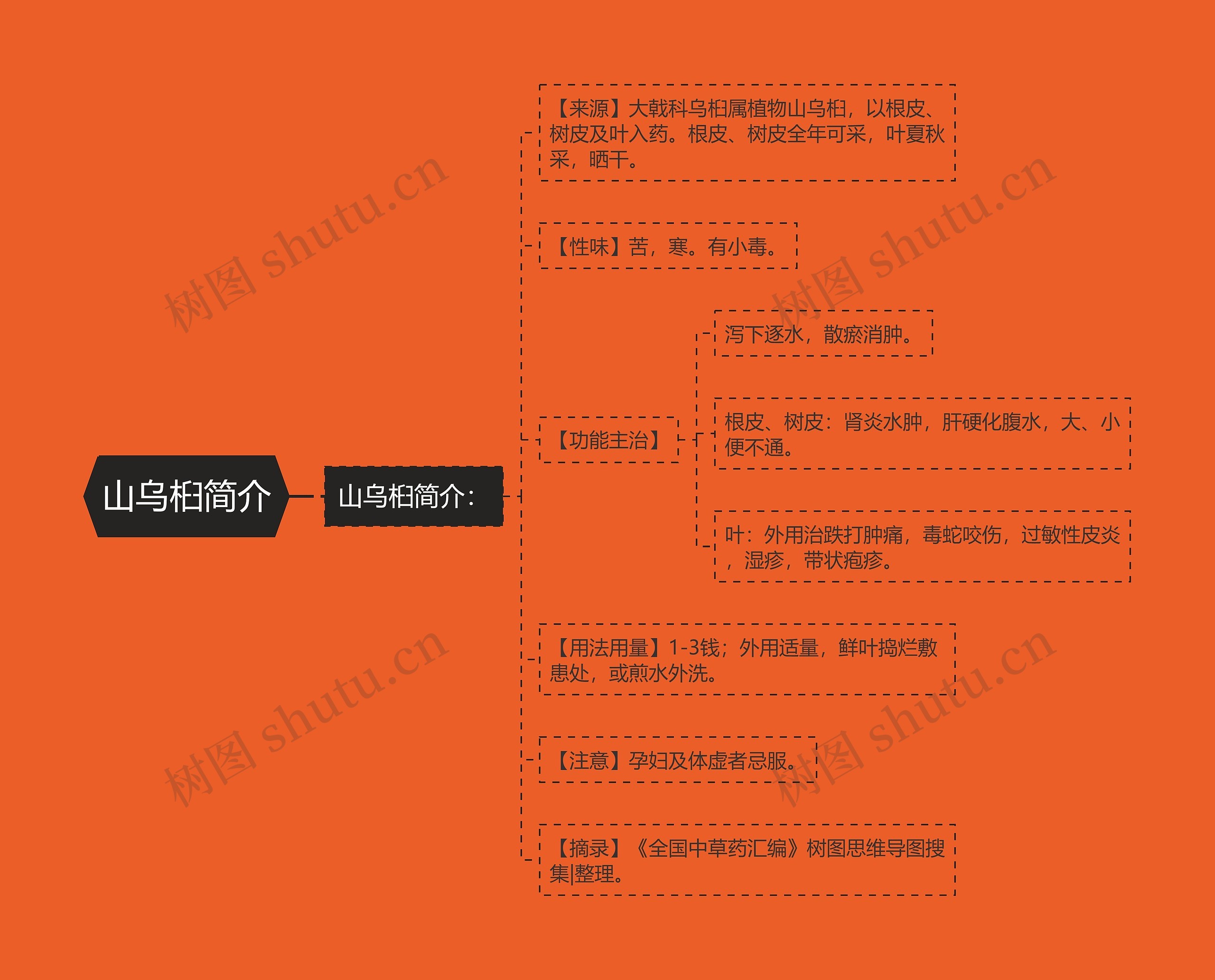 山乌桕简介思维导图