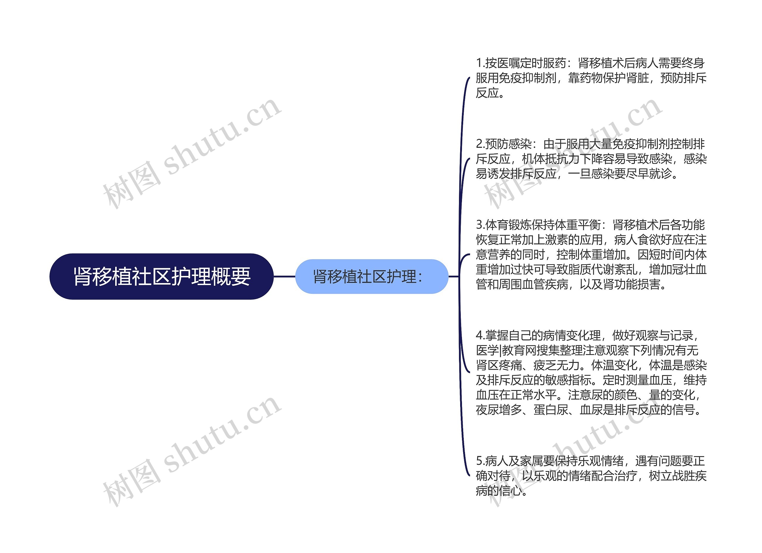 肾移植社区护理概要 肾移植社区护理概要