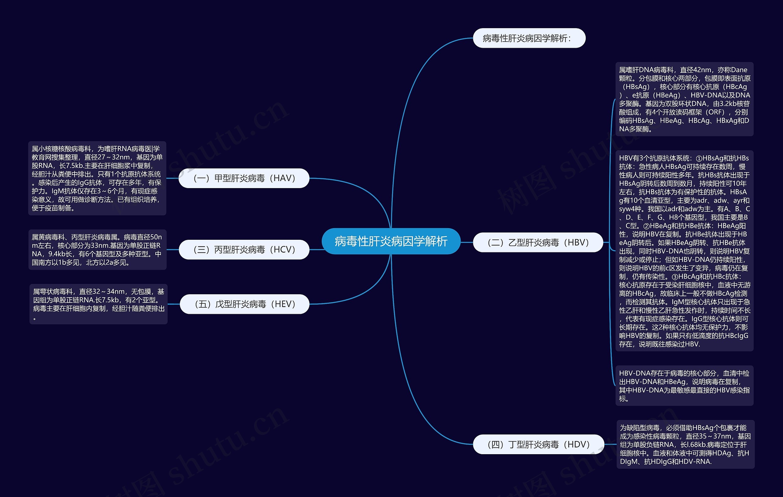 病毒性肝炎病因学解析思维导图