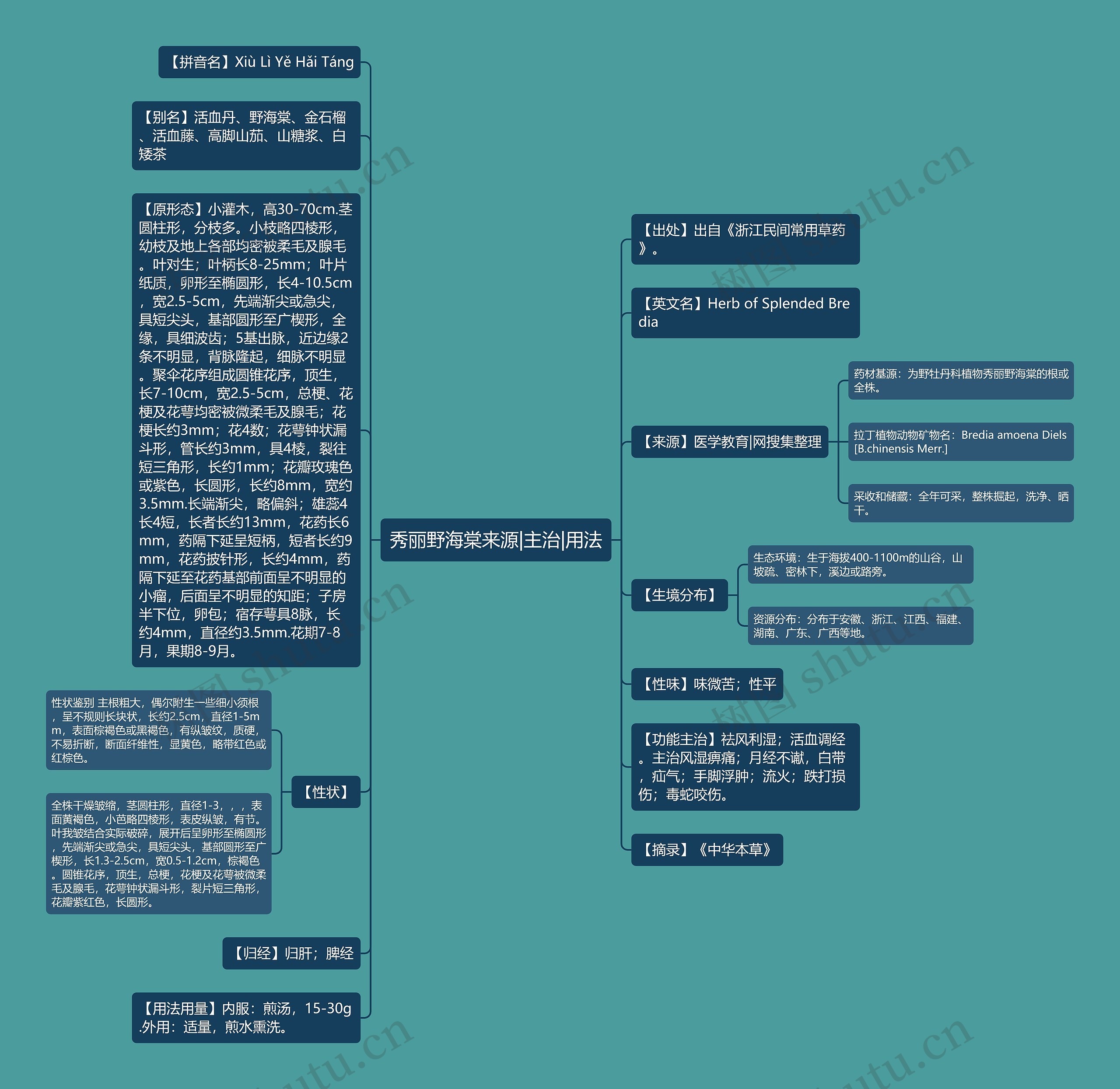 秀丽野海棠来源|主治|用法思维导图