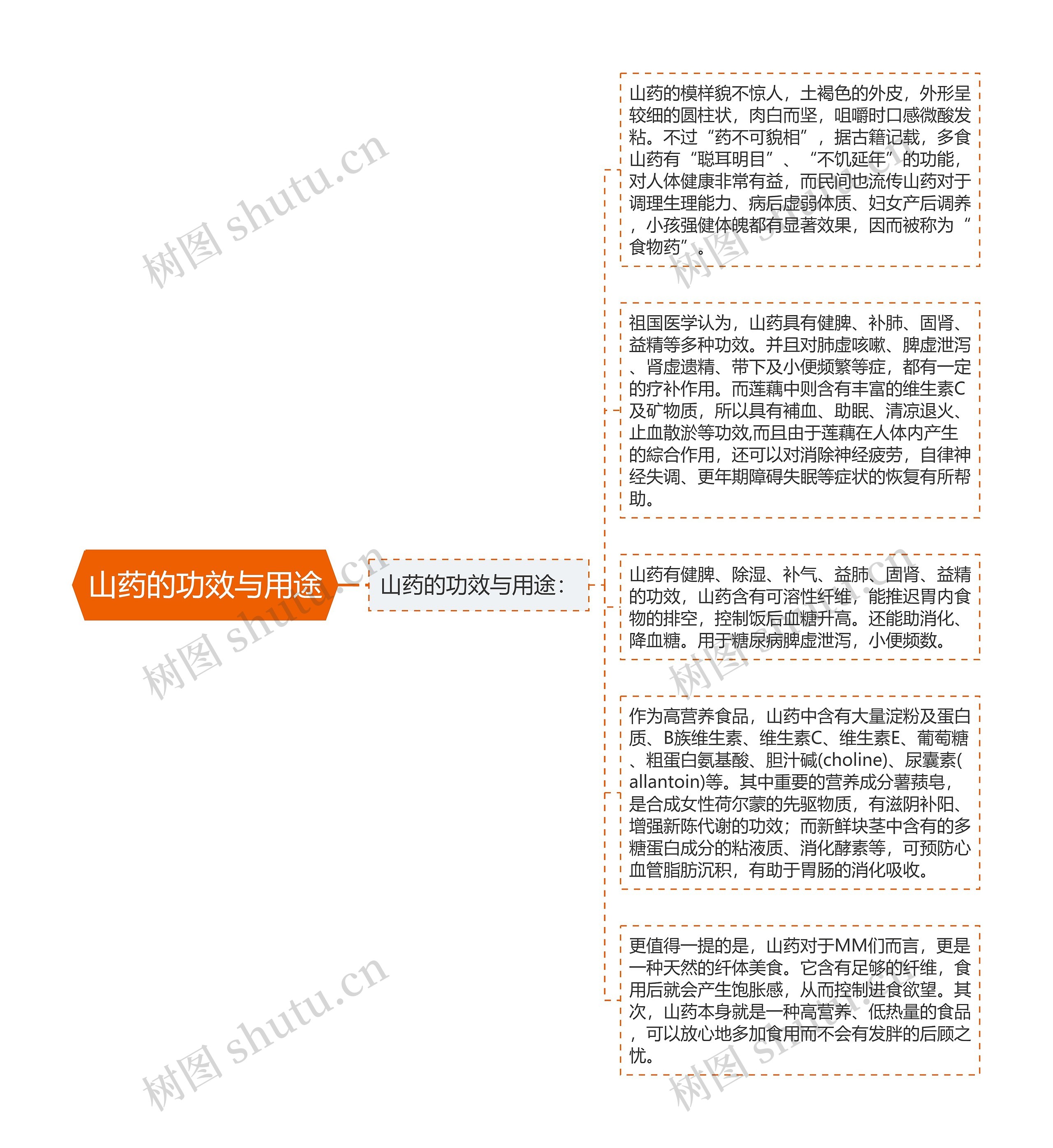 山药的功效与用途思维导图