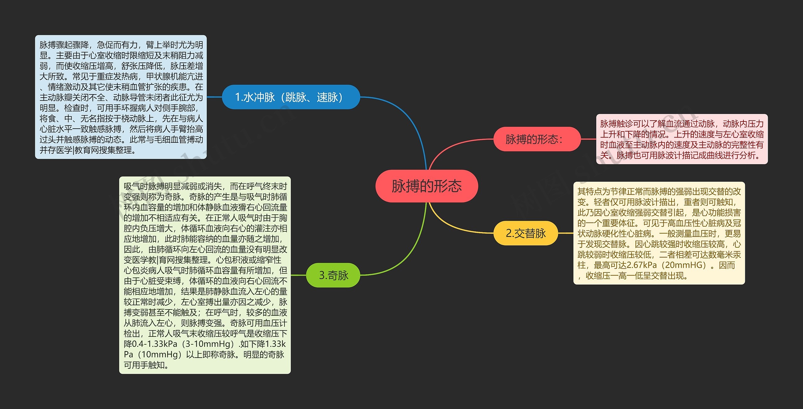 脉搏的形态思维导图