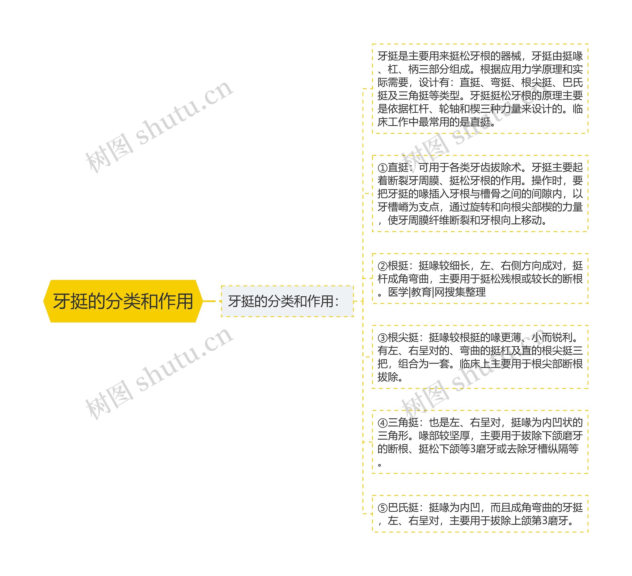 牙挺的分类和作用