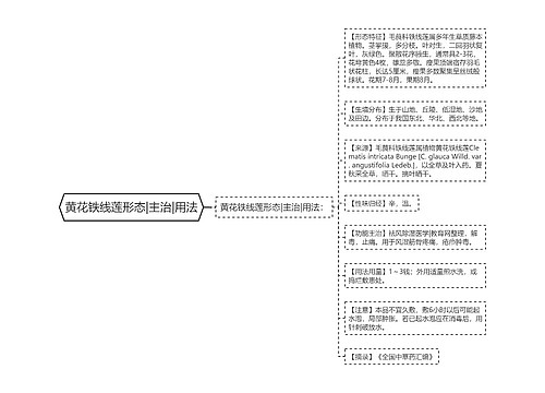 黄花铁线莲形态|主治|用法