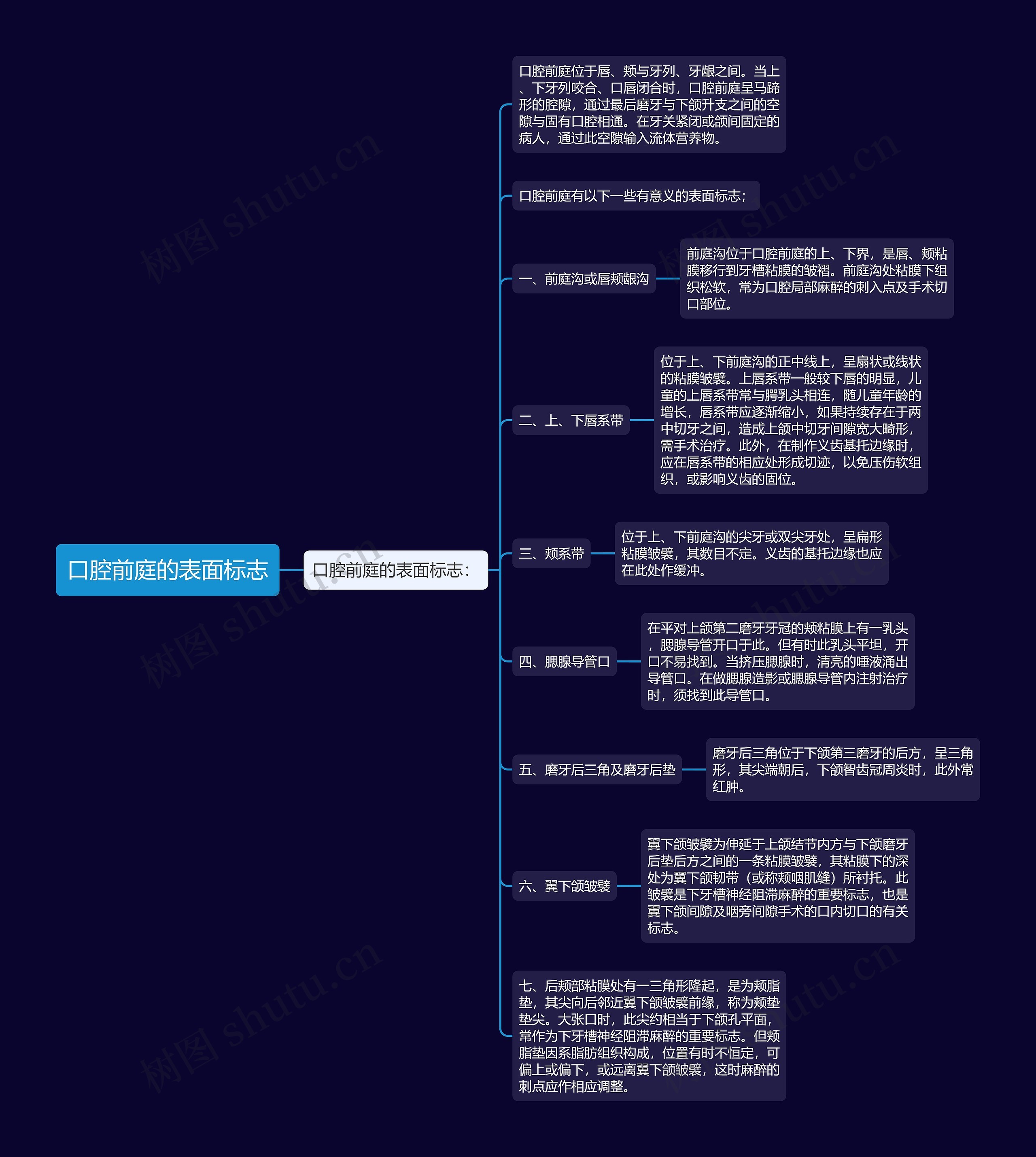 口腔前庭的表面标志思维导图