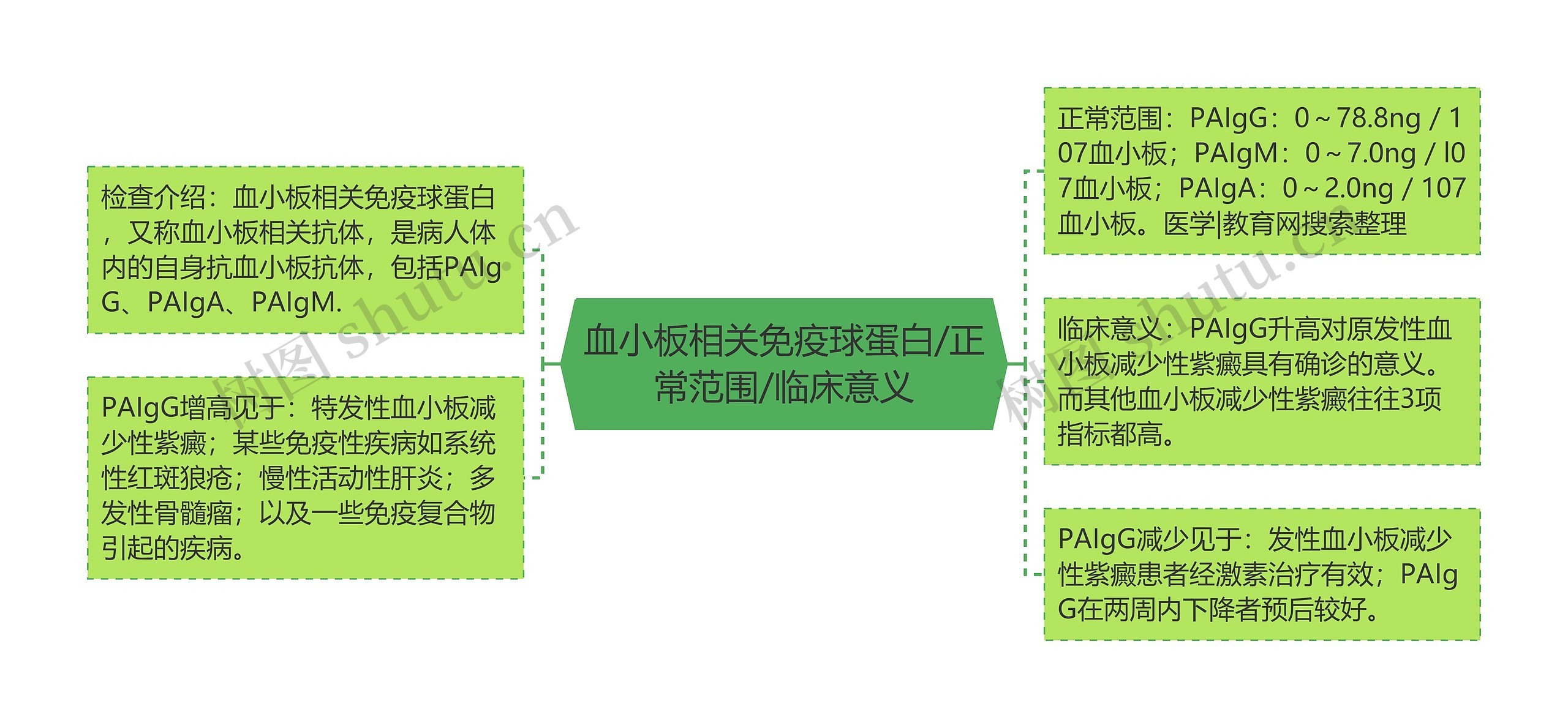 血小板相关免疫球蛋白/正常范围/临床意义