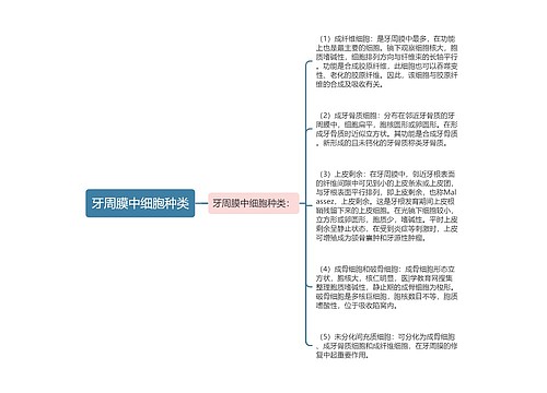 牙周膜中细胞种类