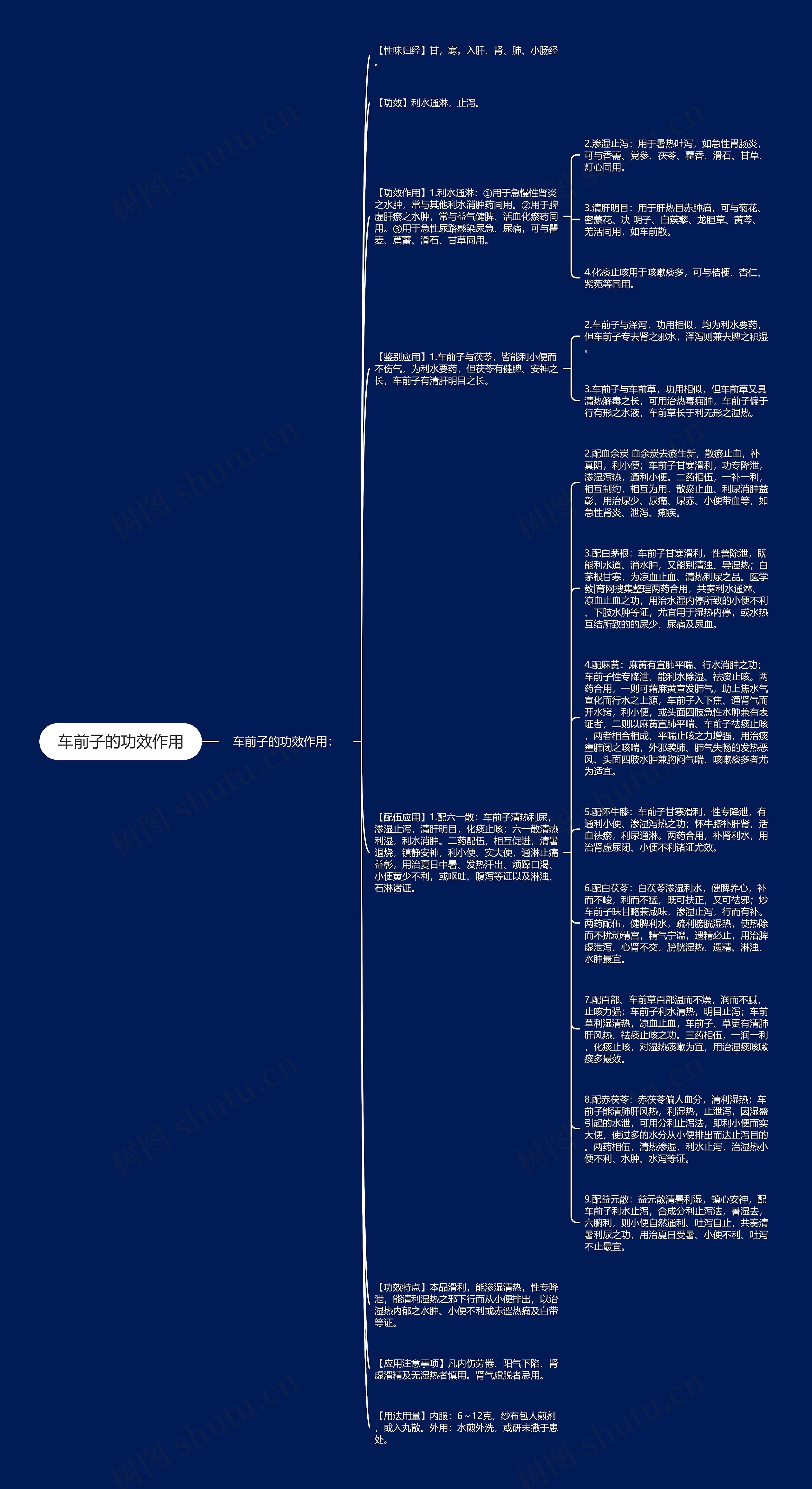 车前子的功效作用