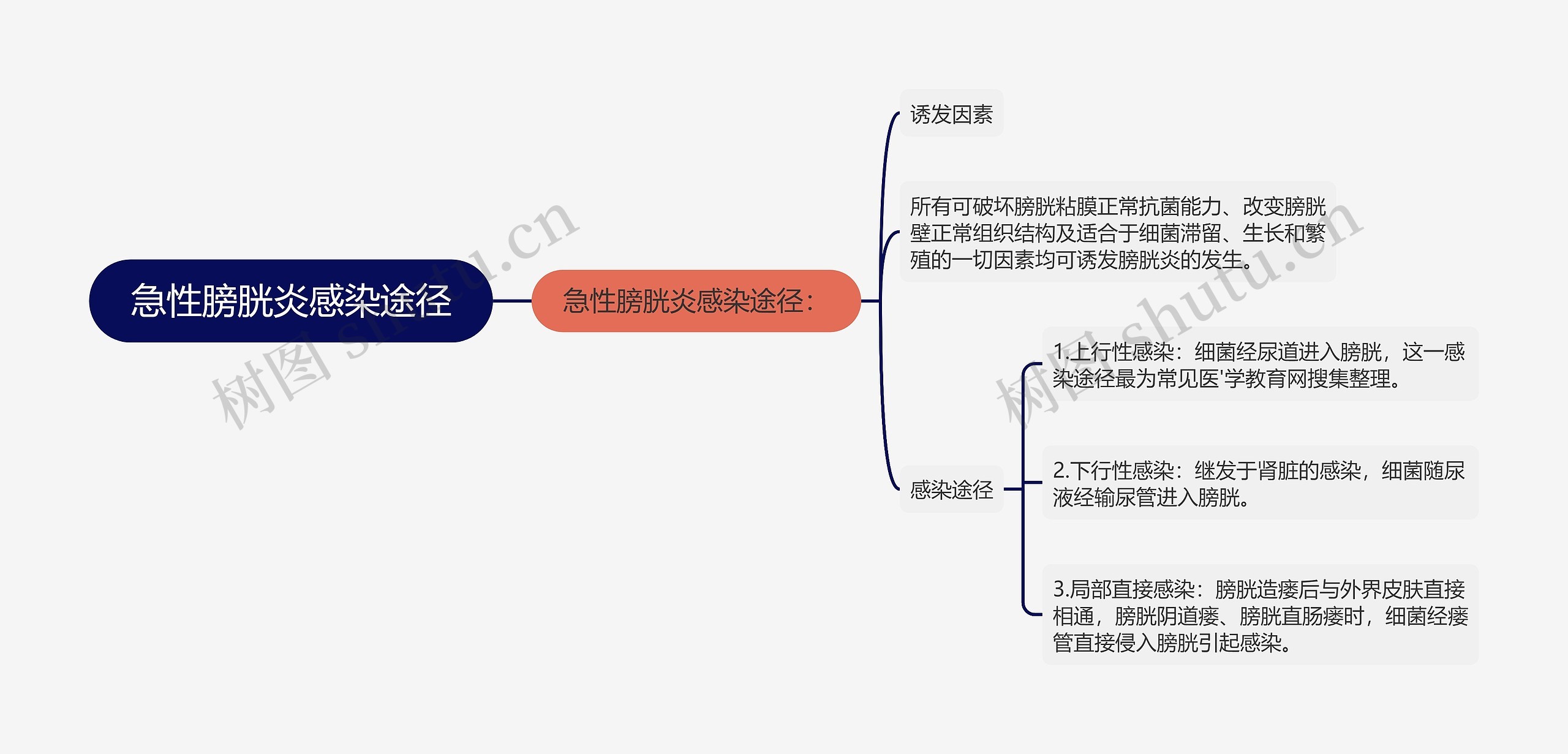 急性膀胱炎感染途径思维导图