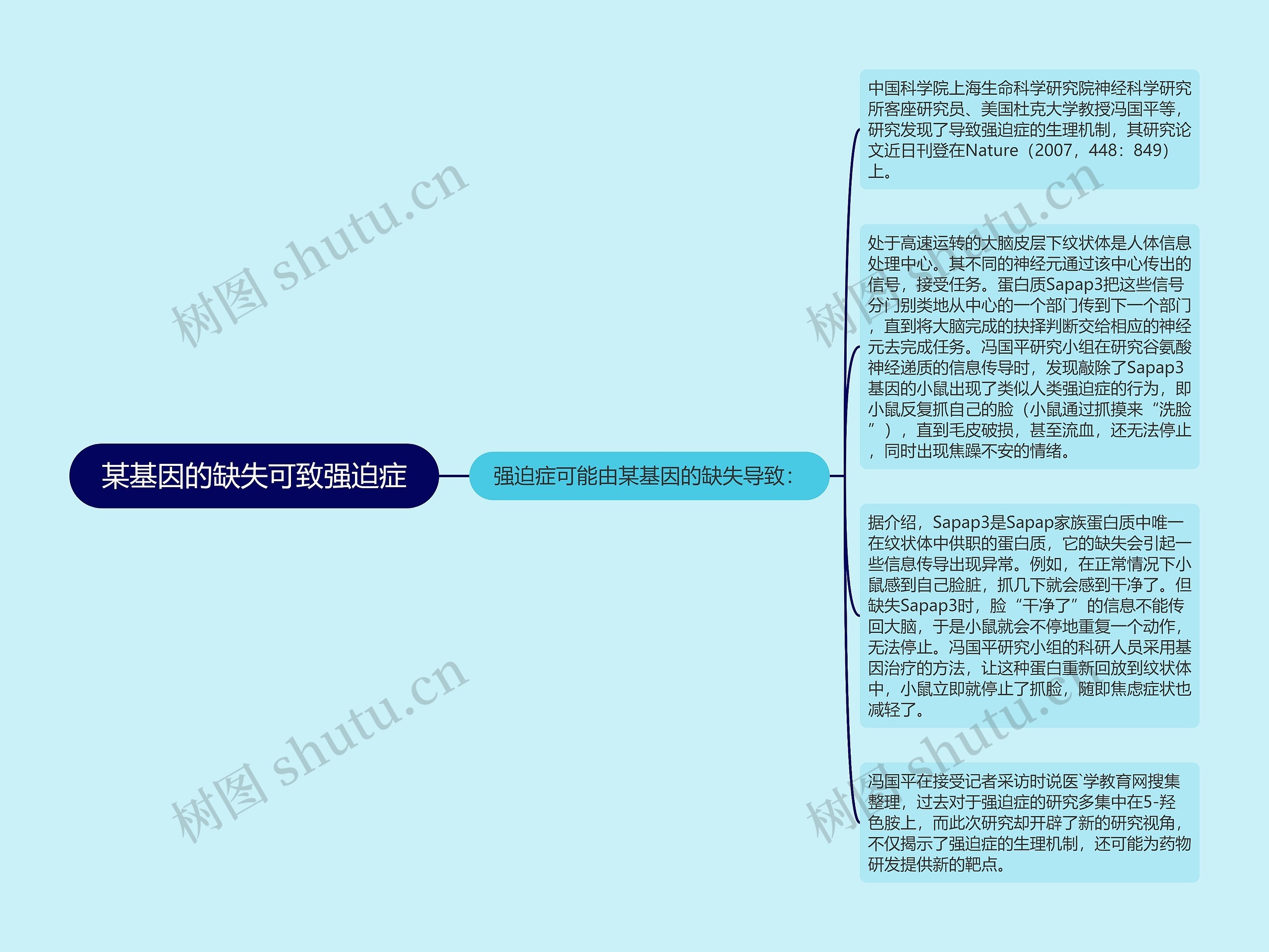 某基因的缺失可致强迫症