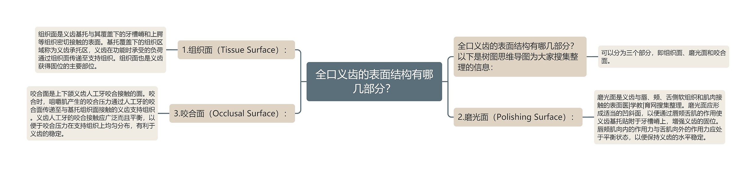 全口义齿的表面结构有哪几部分？思维导图